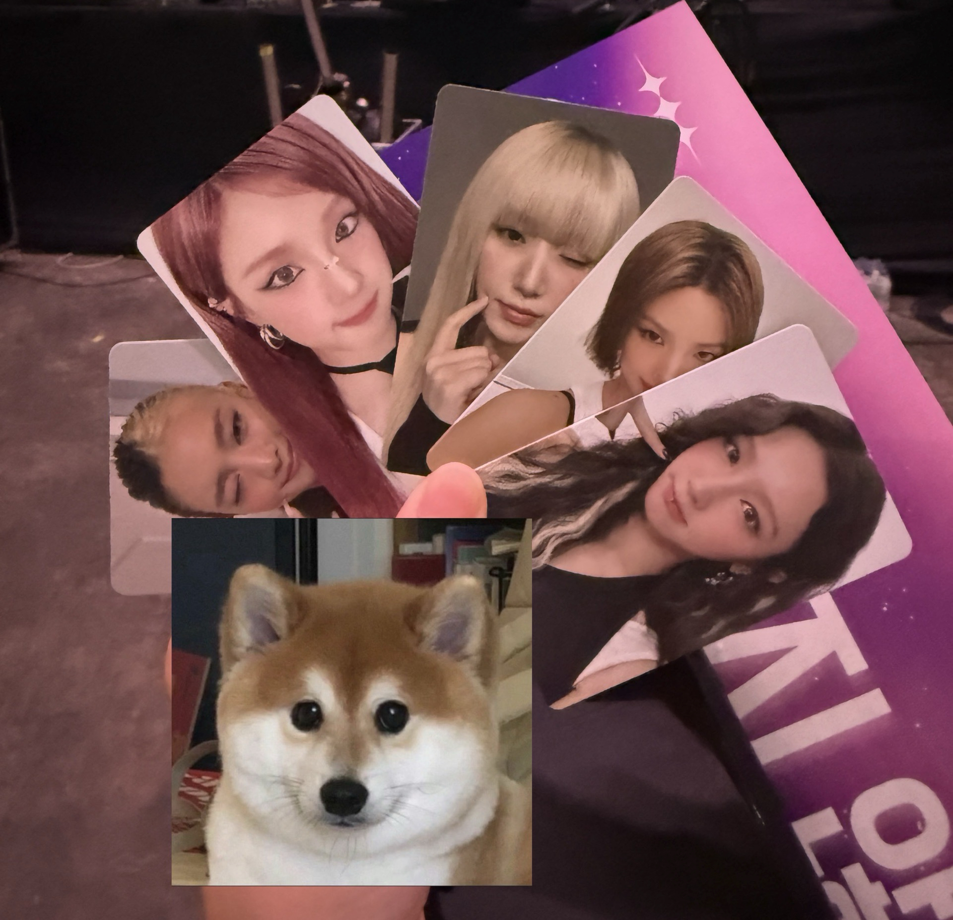 2026 世巡曼谷入場卡