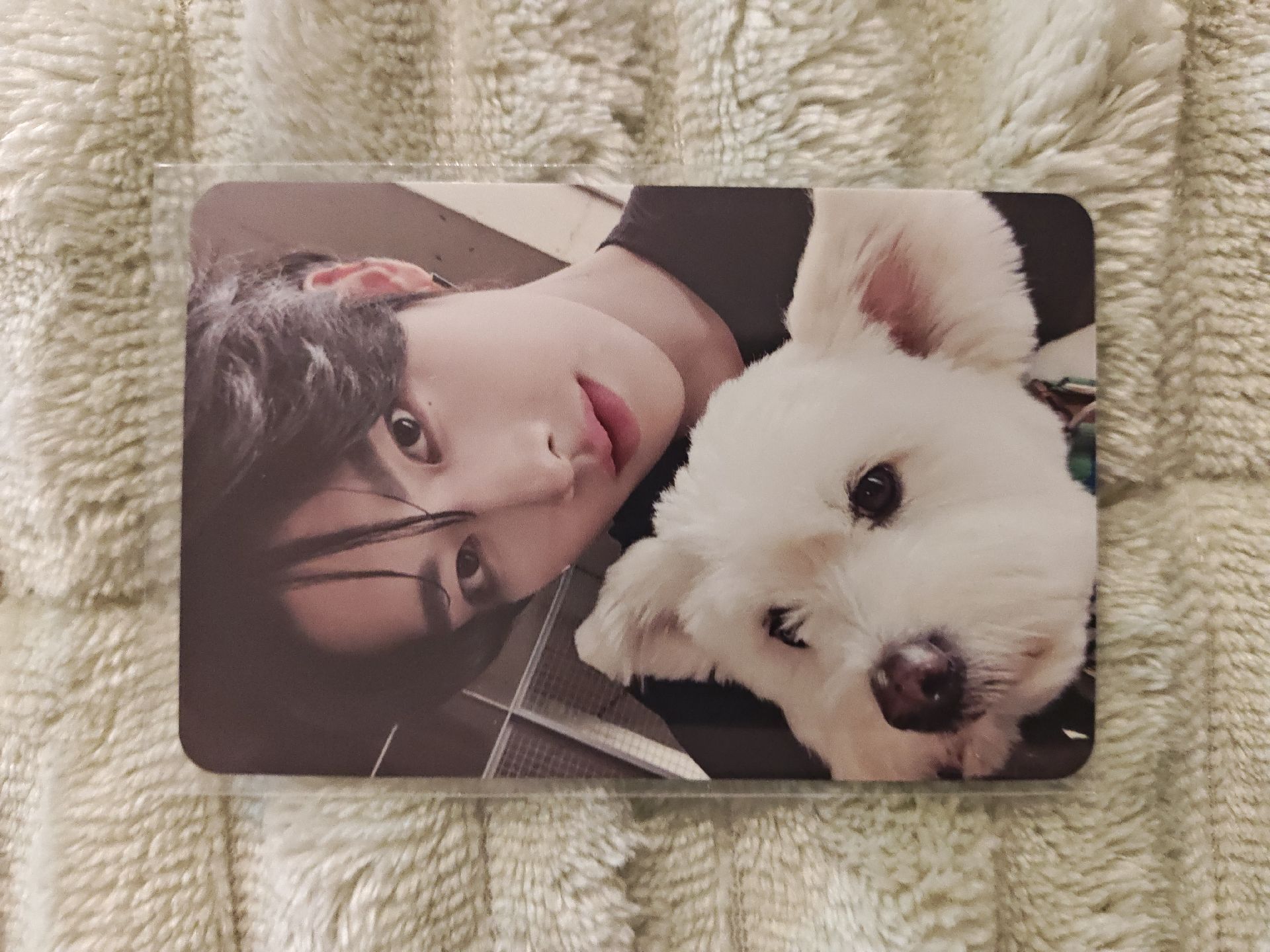 ZEROBASEONE ZB1 Ricky 專卡