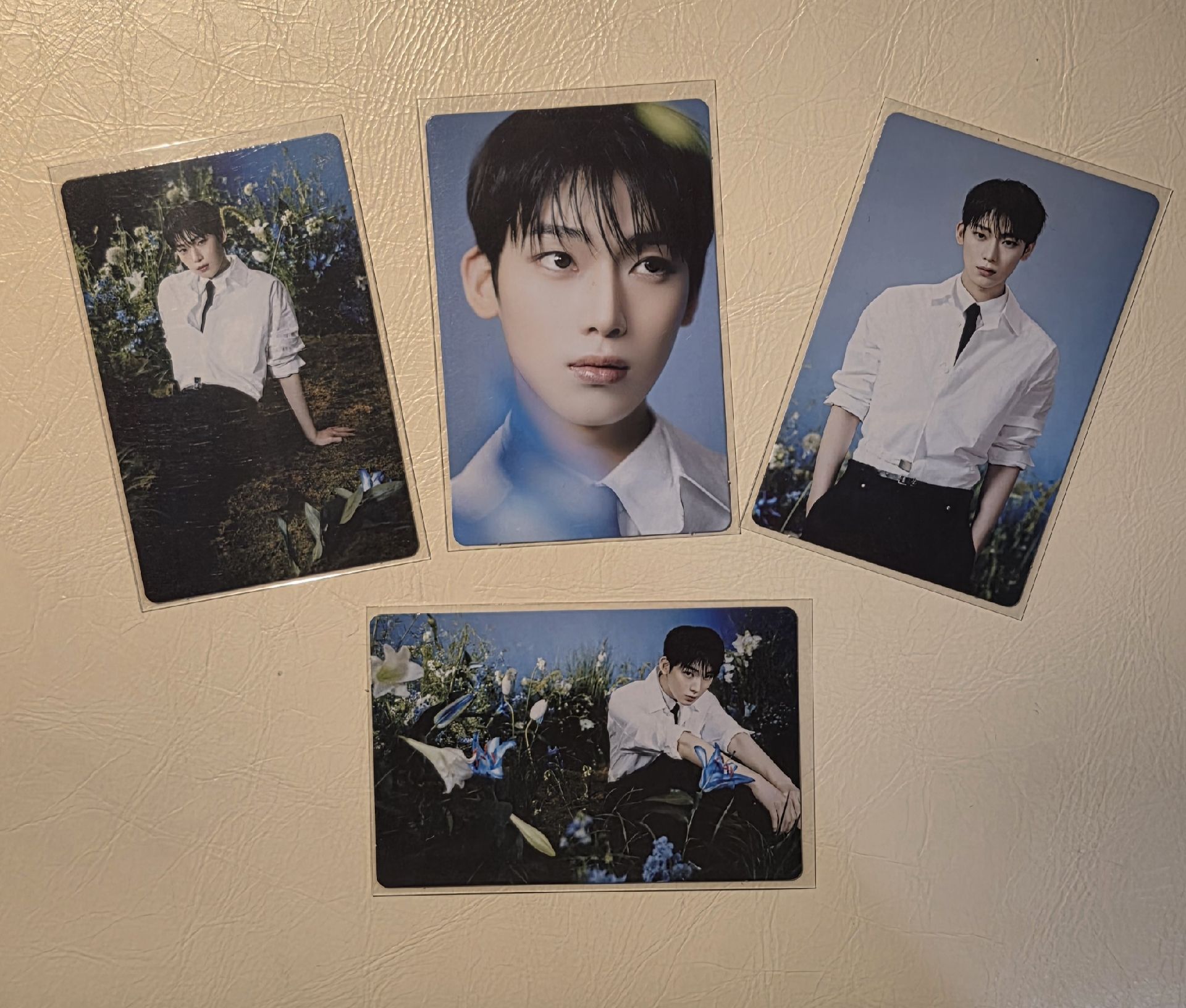 禹 WTL FINALwvs 隨機卡 4張