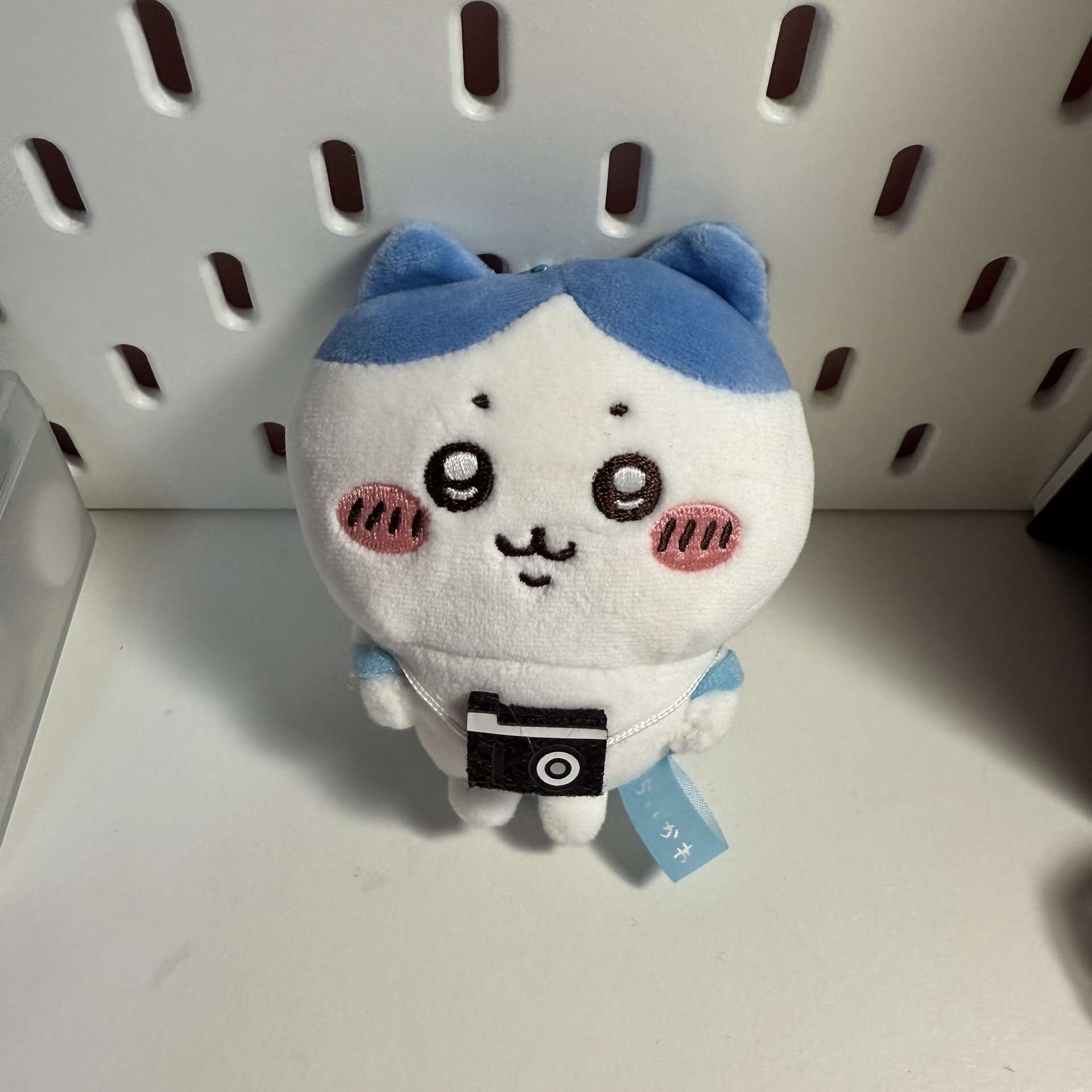 出遊系列 吊娃 小八