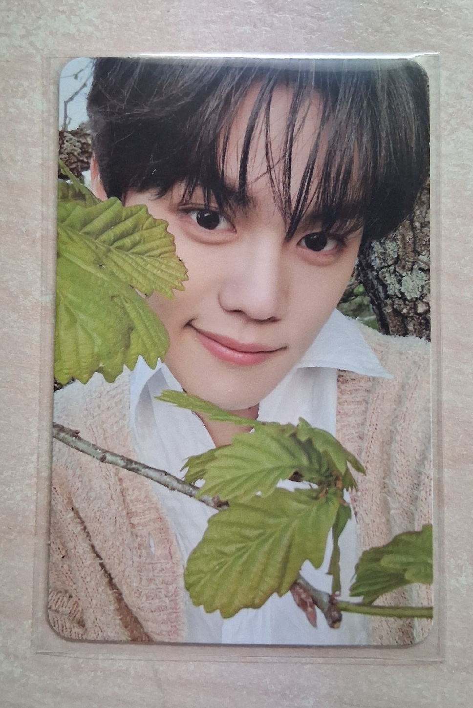 金奎彬 專輯 小卡