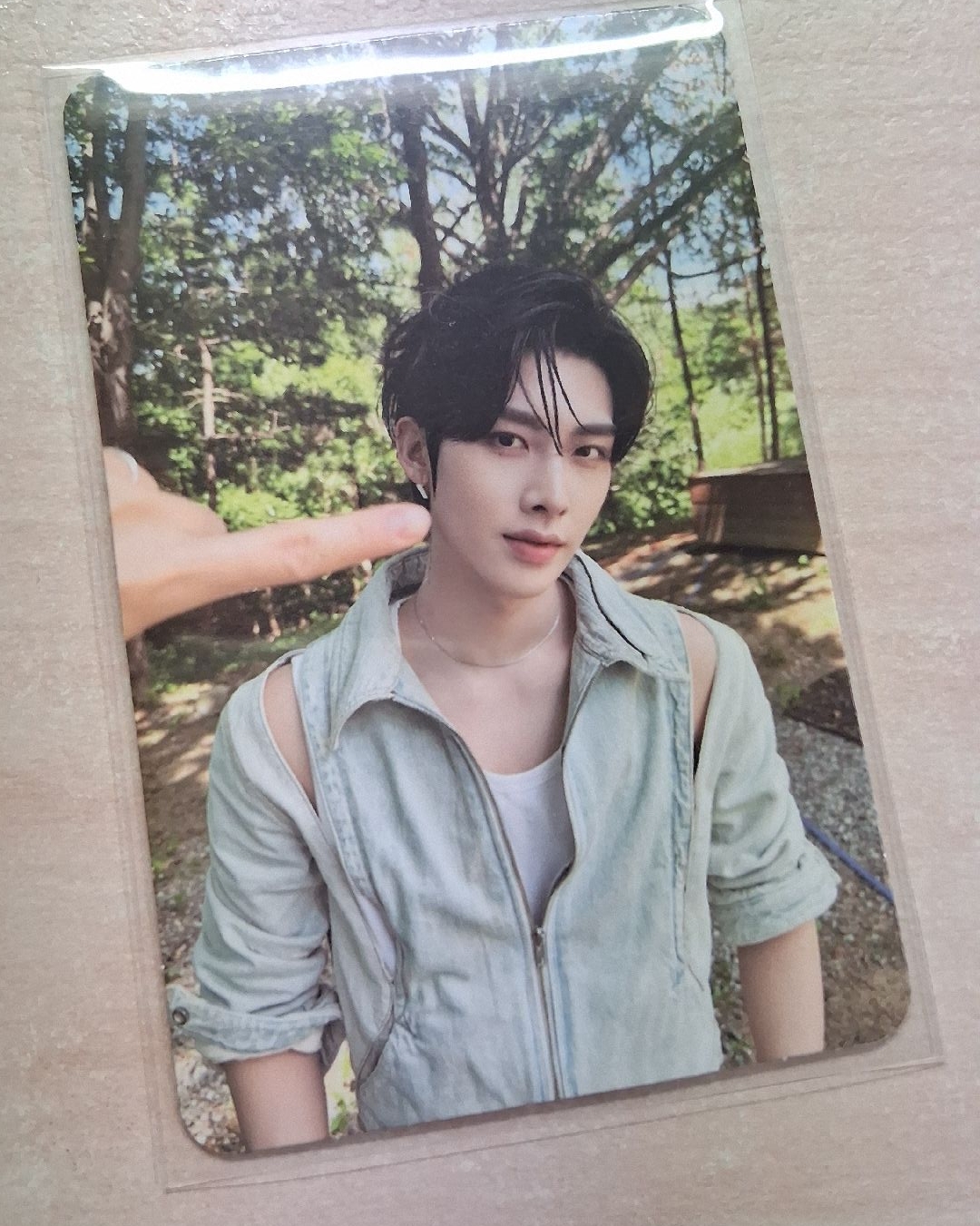 沈全銳 專輯小卡