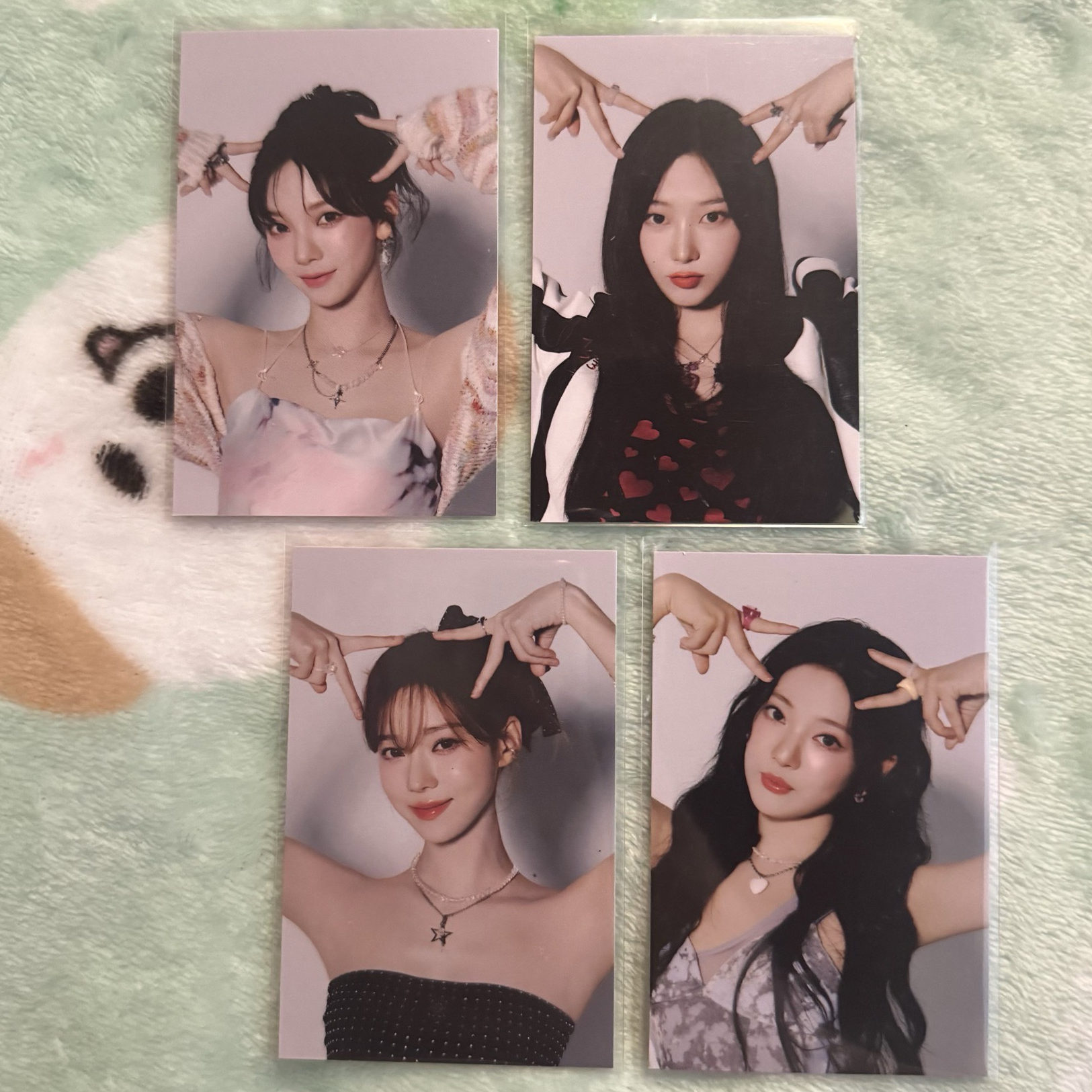 #potd展會 四貓白底官拍