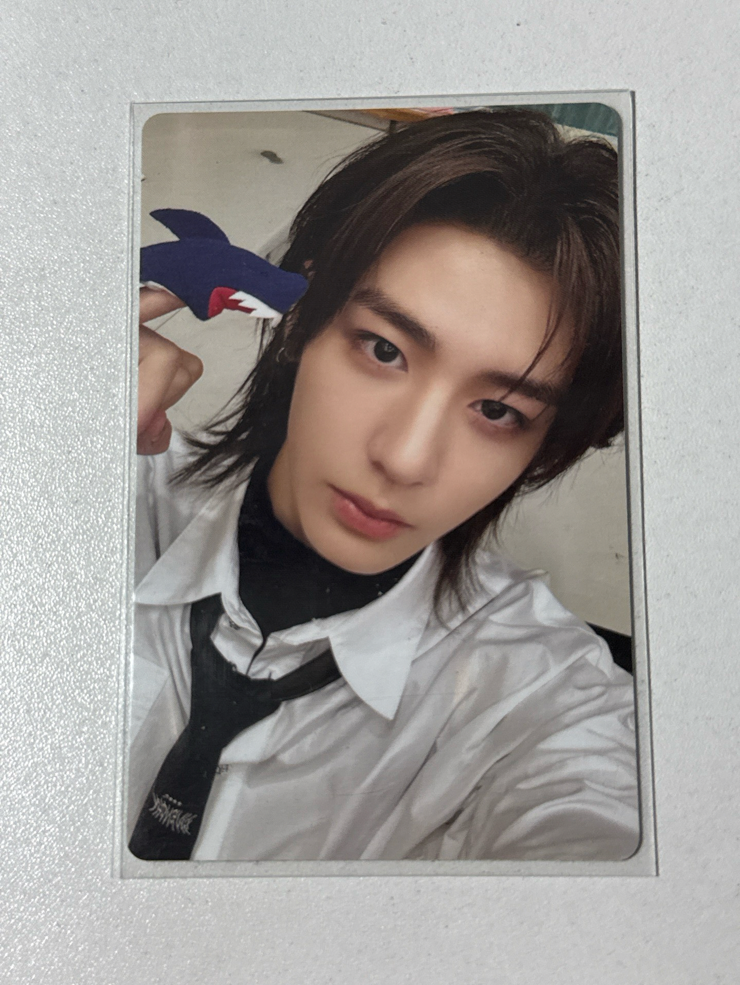 HOW-Earth 小妞妞鯊魚金桐儇