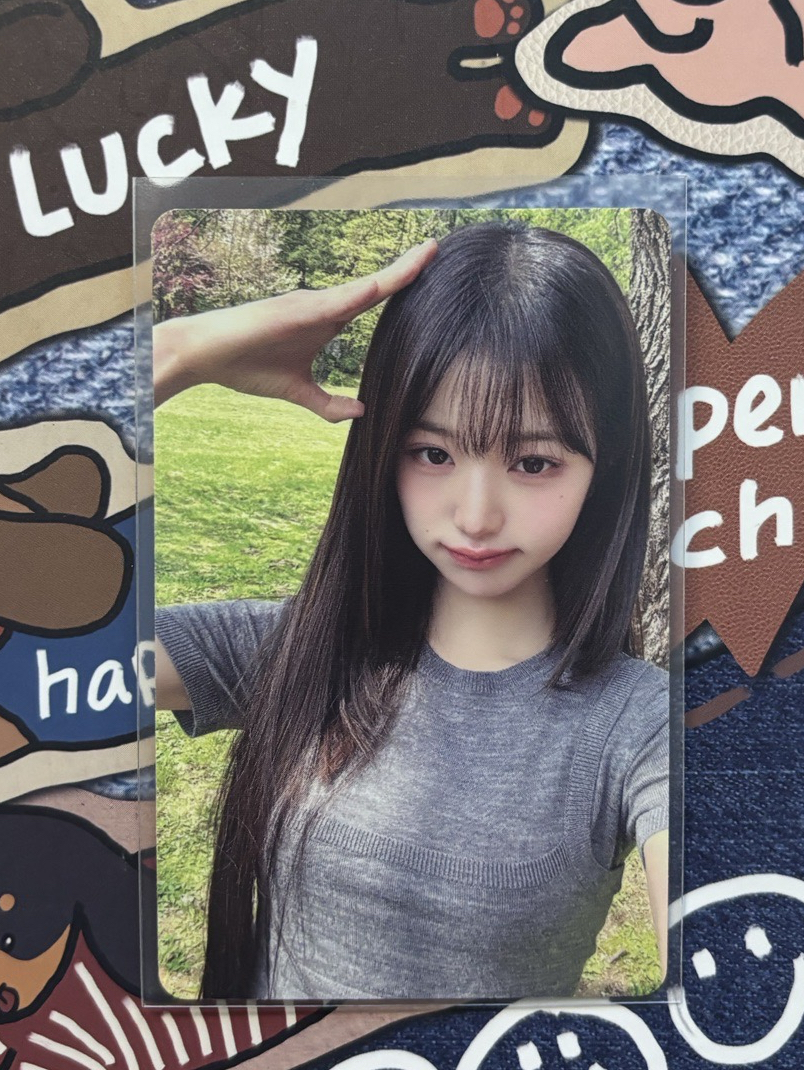 🔥DICON 雜誌卡 狗耳員瑛