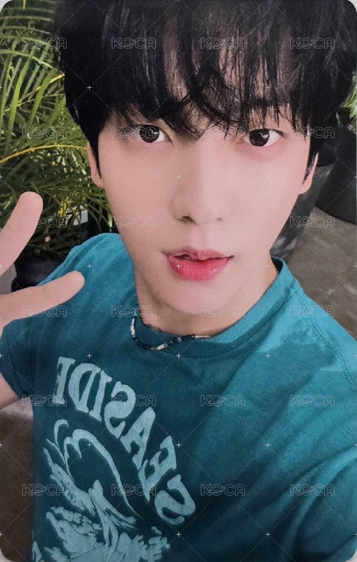 你好 我是崔薯餅