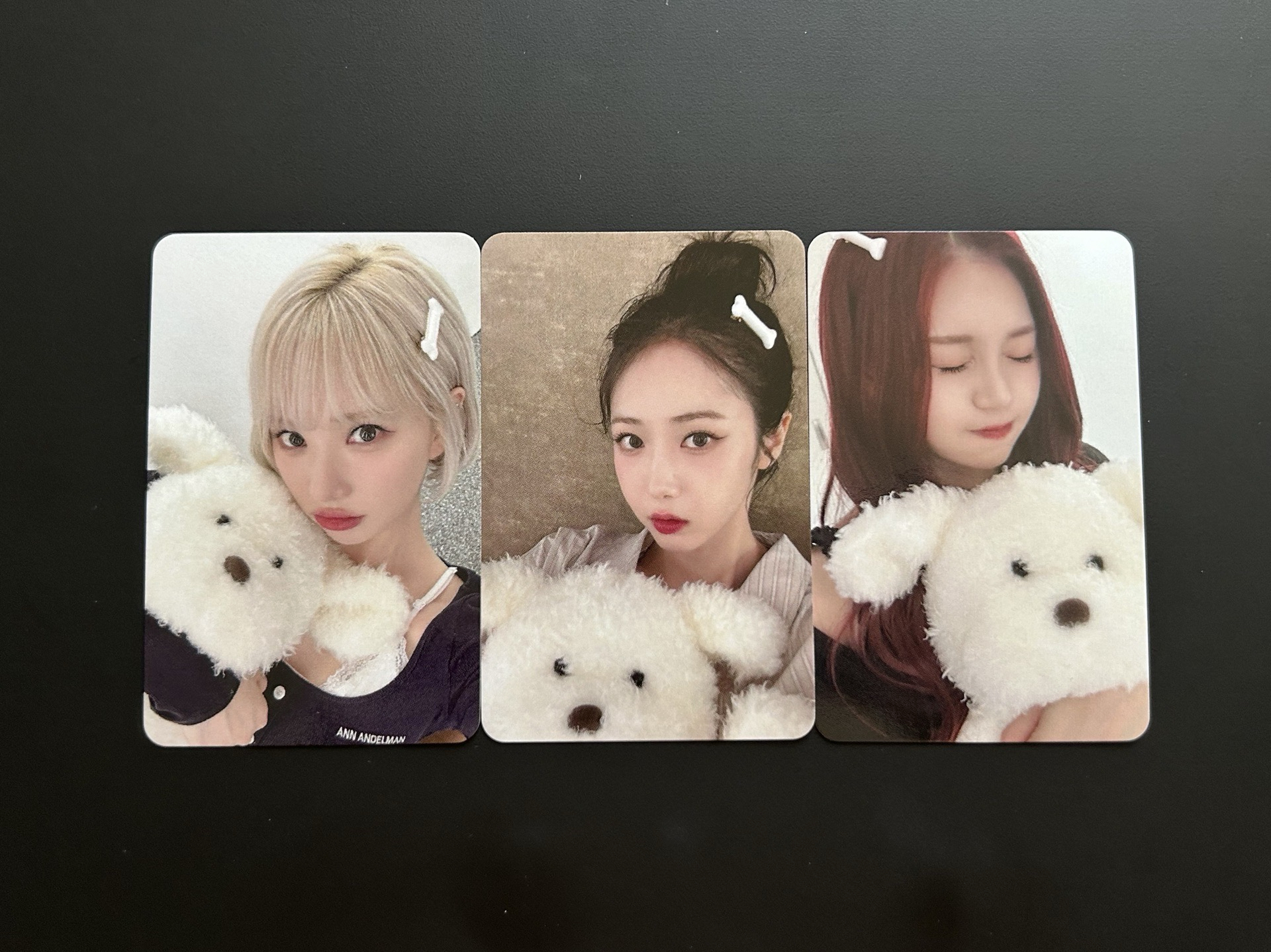 VIVIZ 正規一 狗狗一套🐶