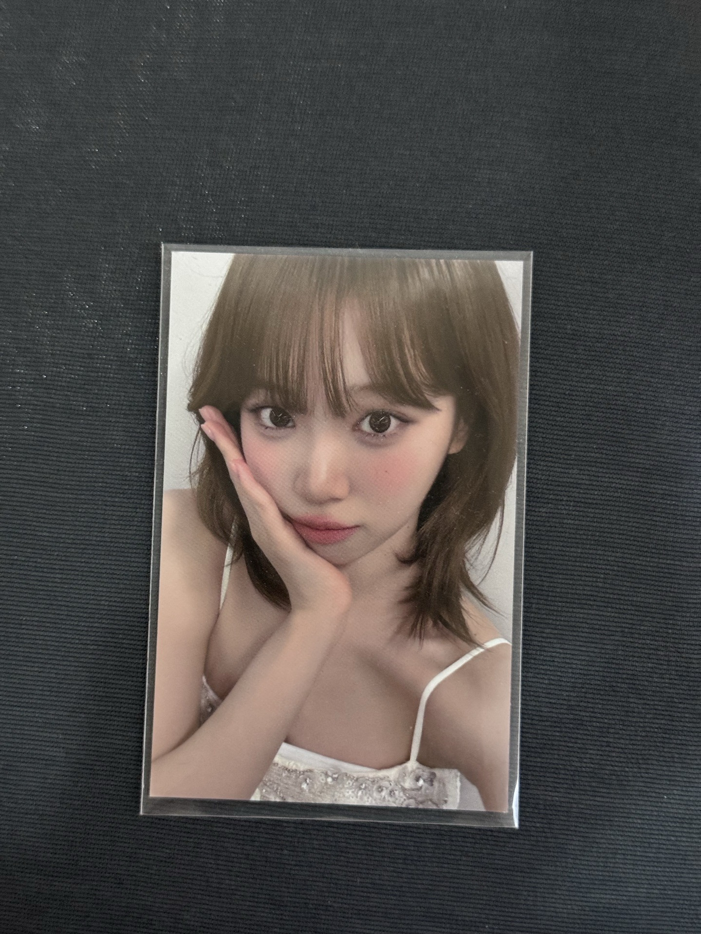 香港采zone+台北采zone