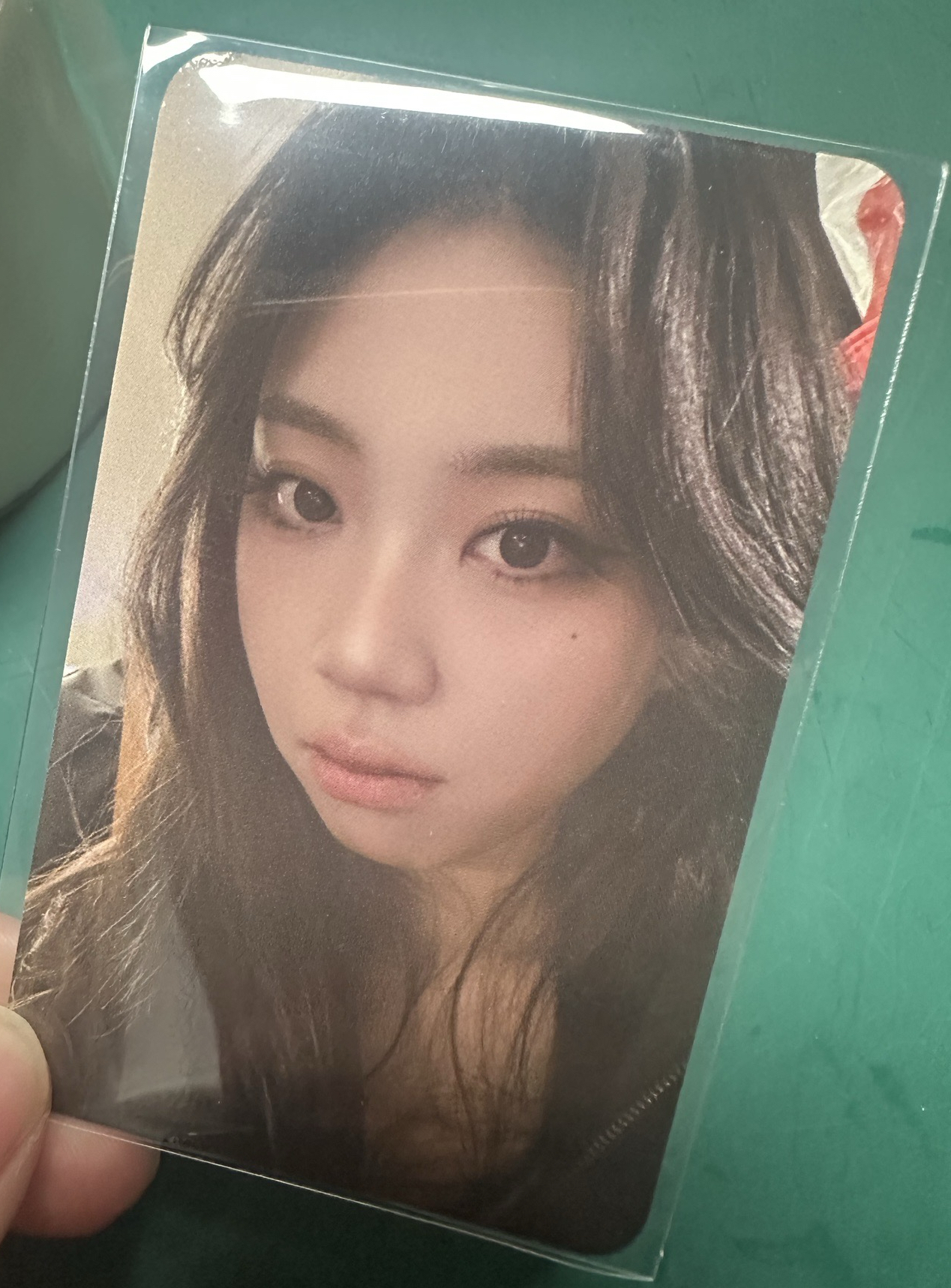 李泳知 2026 高雄櫻花季 入場卡