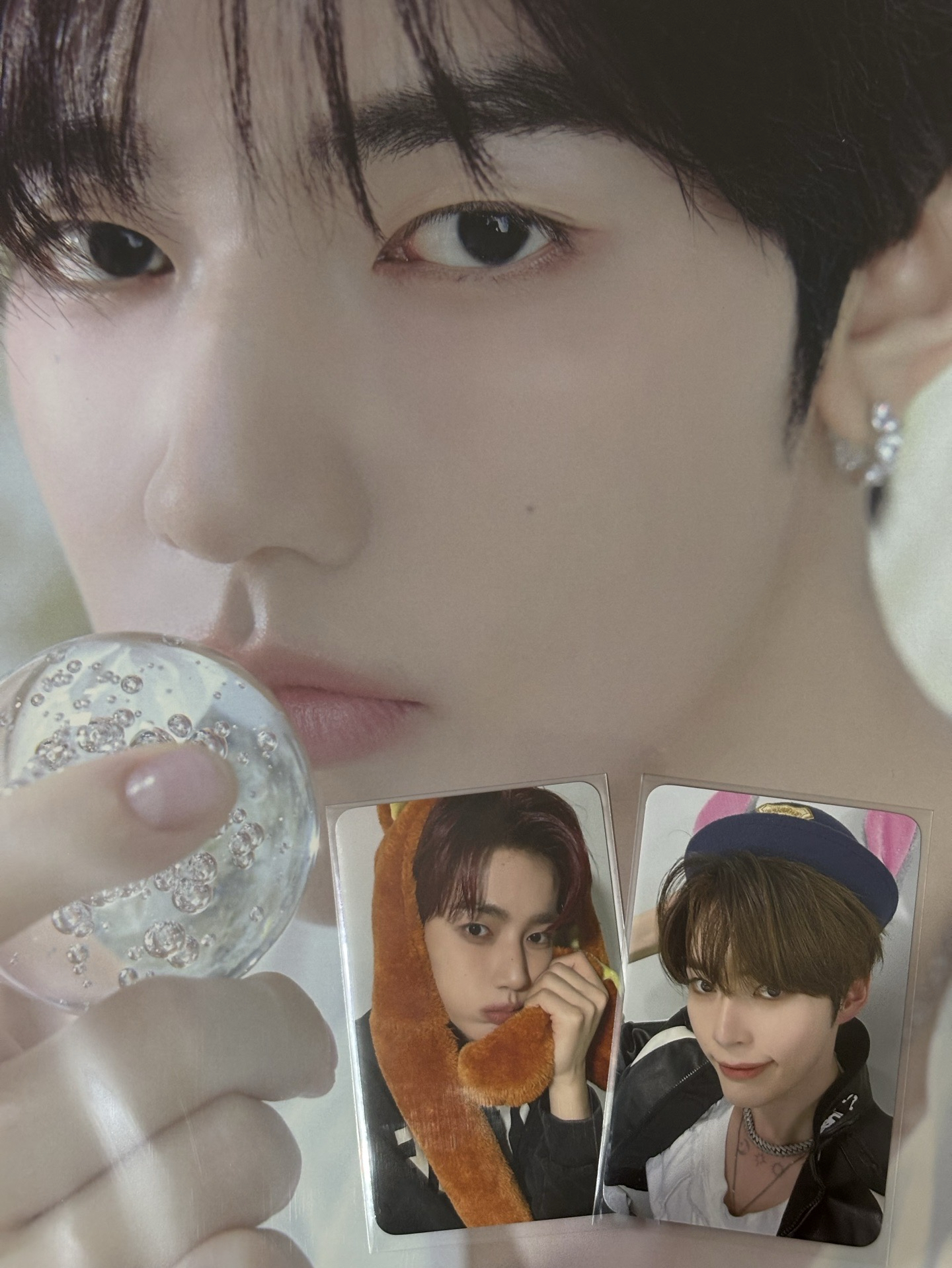 🌟正一 WM動物方城市 彬昊