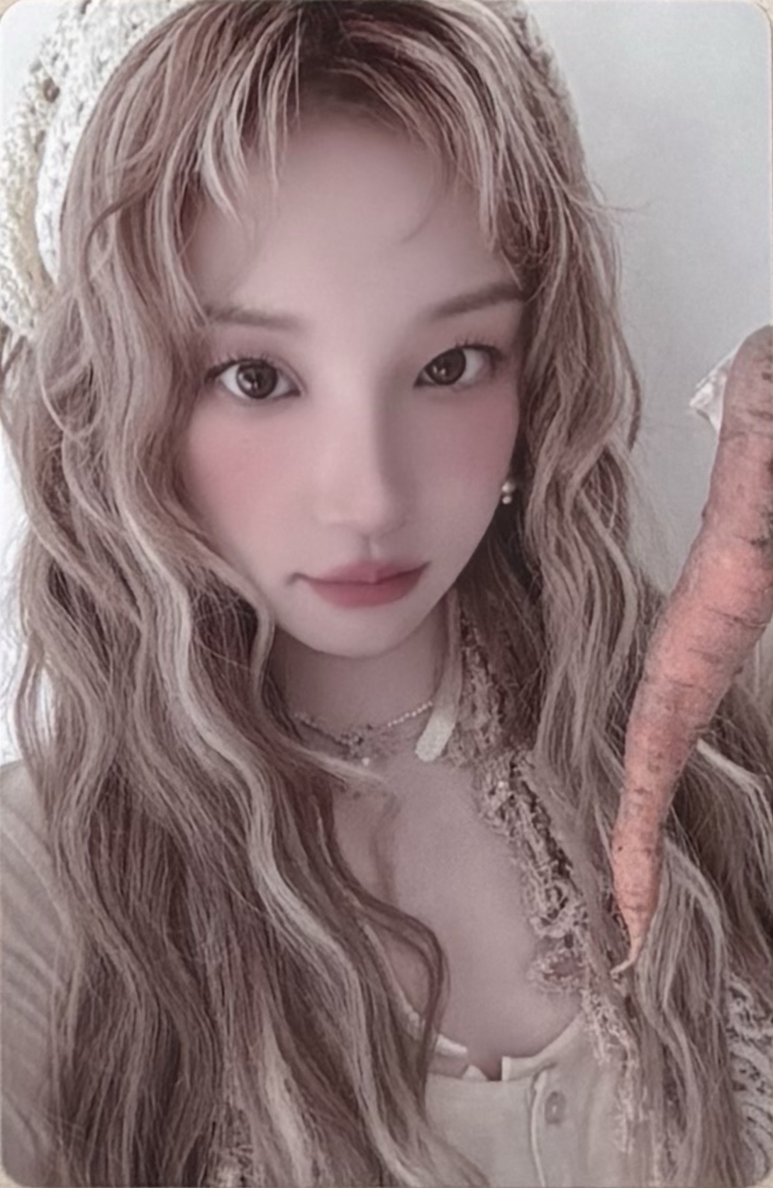 嘿呦嘿呦拔蘿蔔