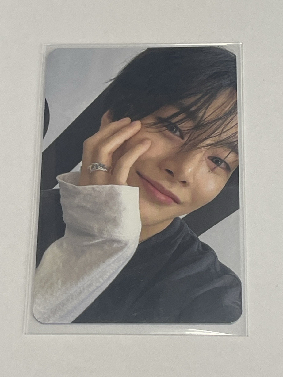 捧臉寅（需多帶燦彬）