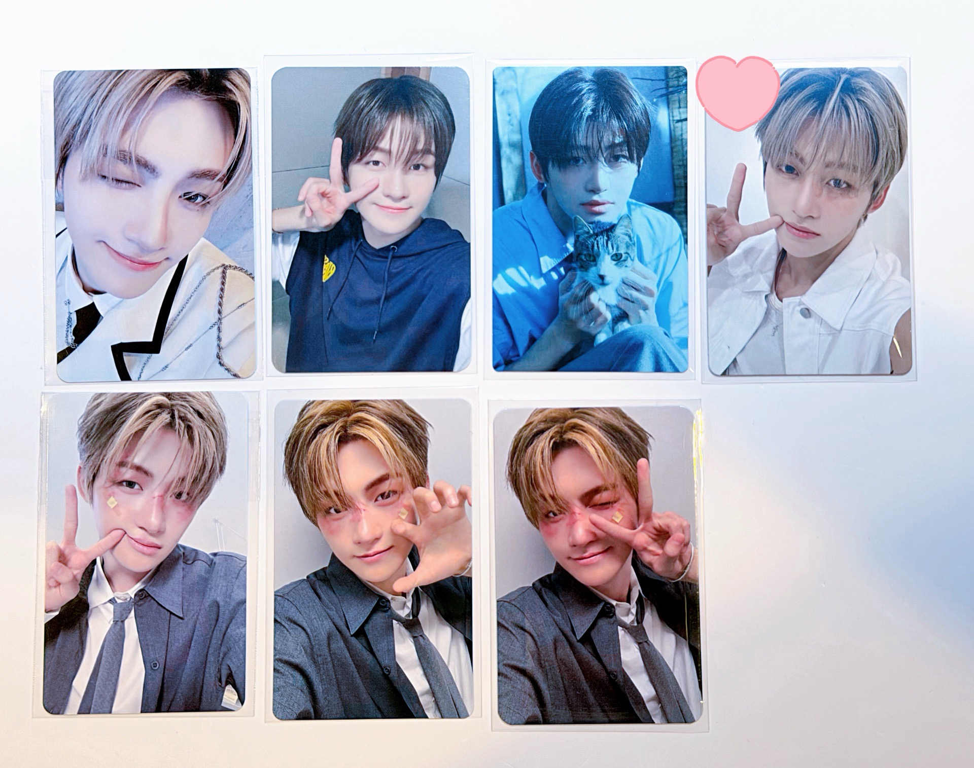 TWS 志薫盤 36張 不拆