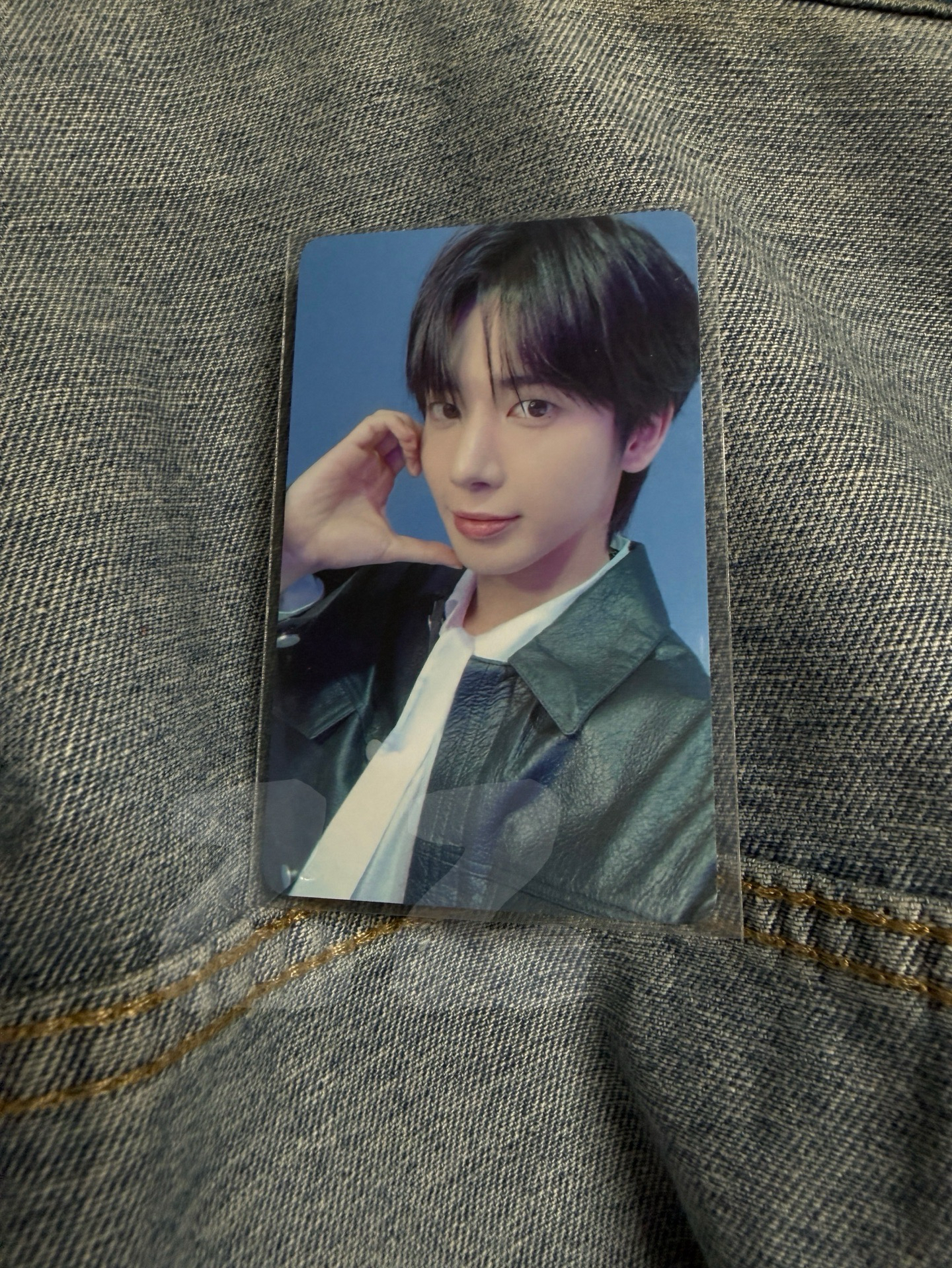 wvs特典卡（PB版）