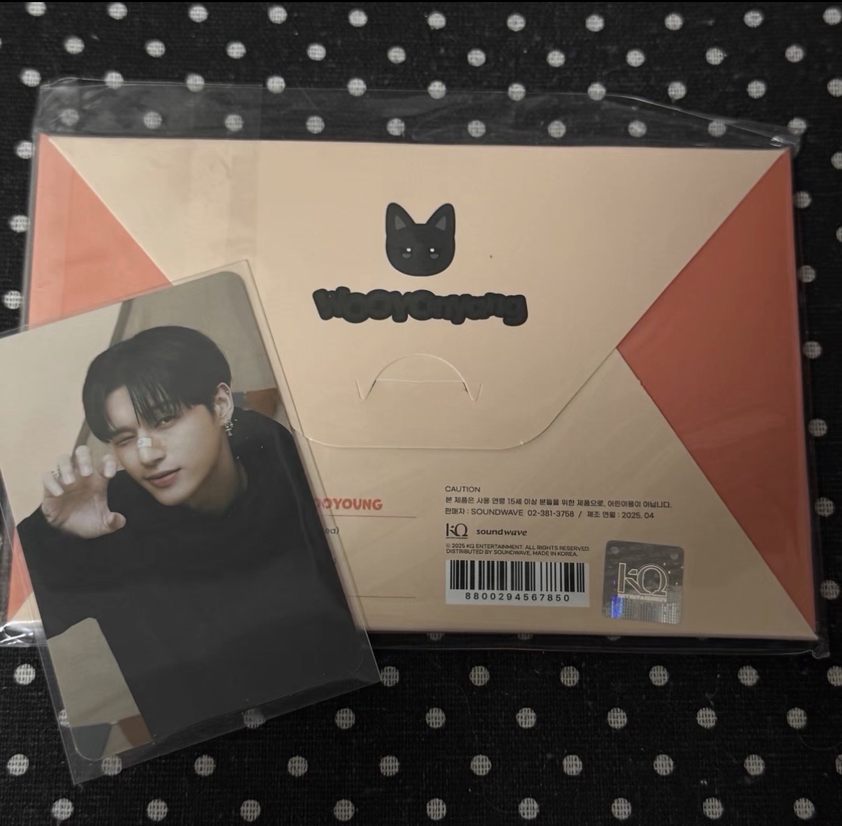 鄭友榮🐈‍⬛照片組