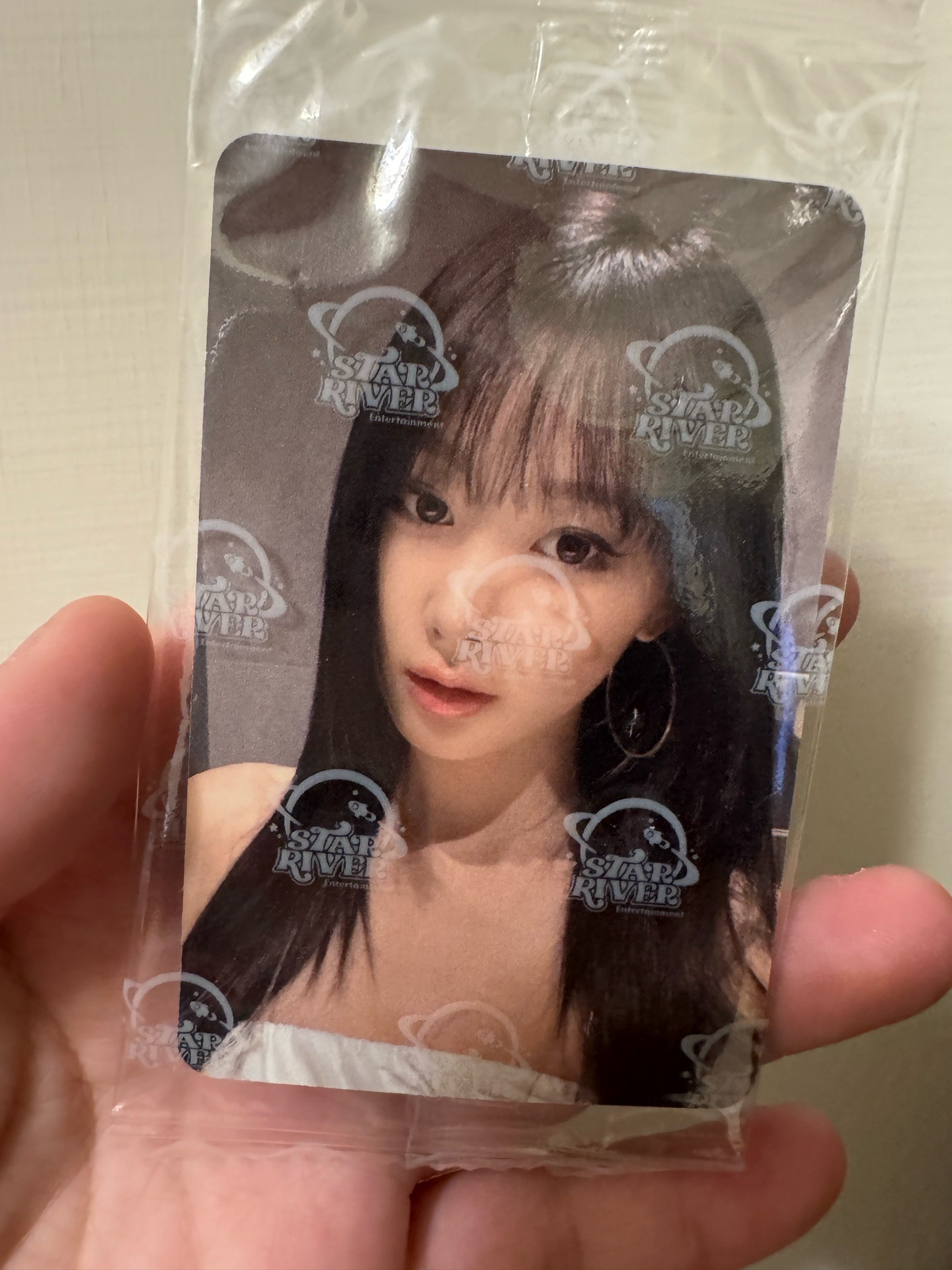 星河吉 中背 大吉大梨金榜題名