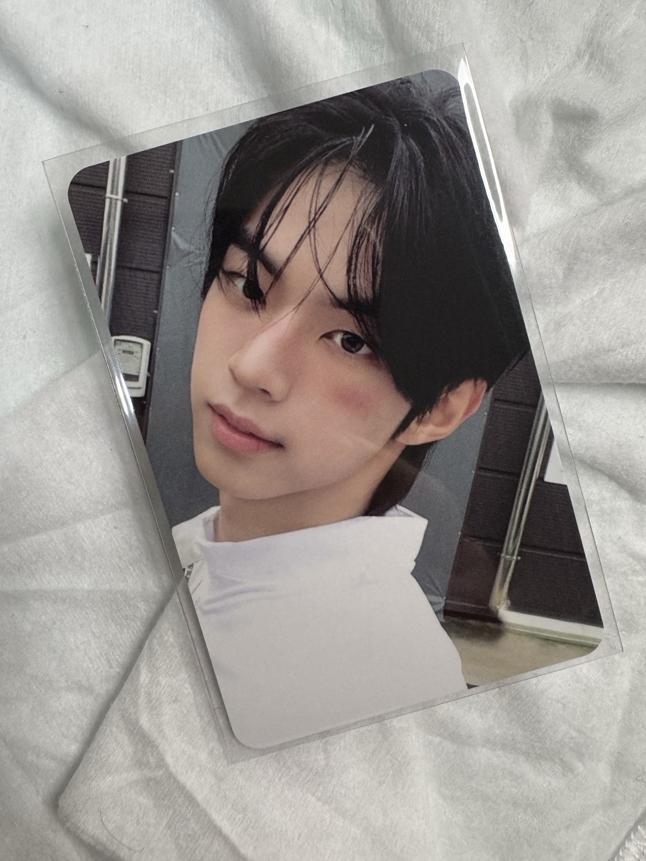 道勳（需綁一張年曆卡）