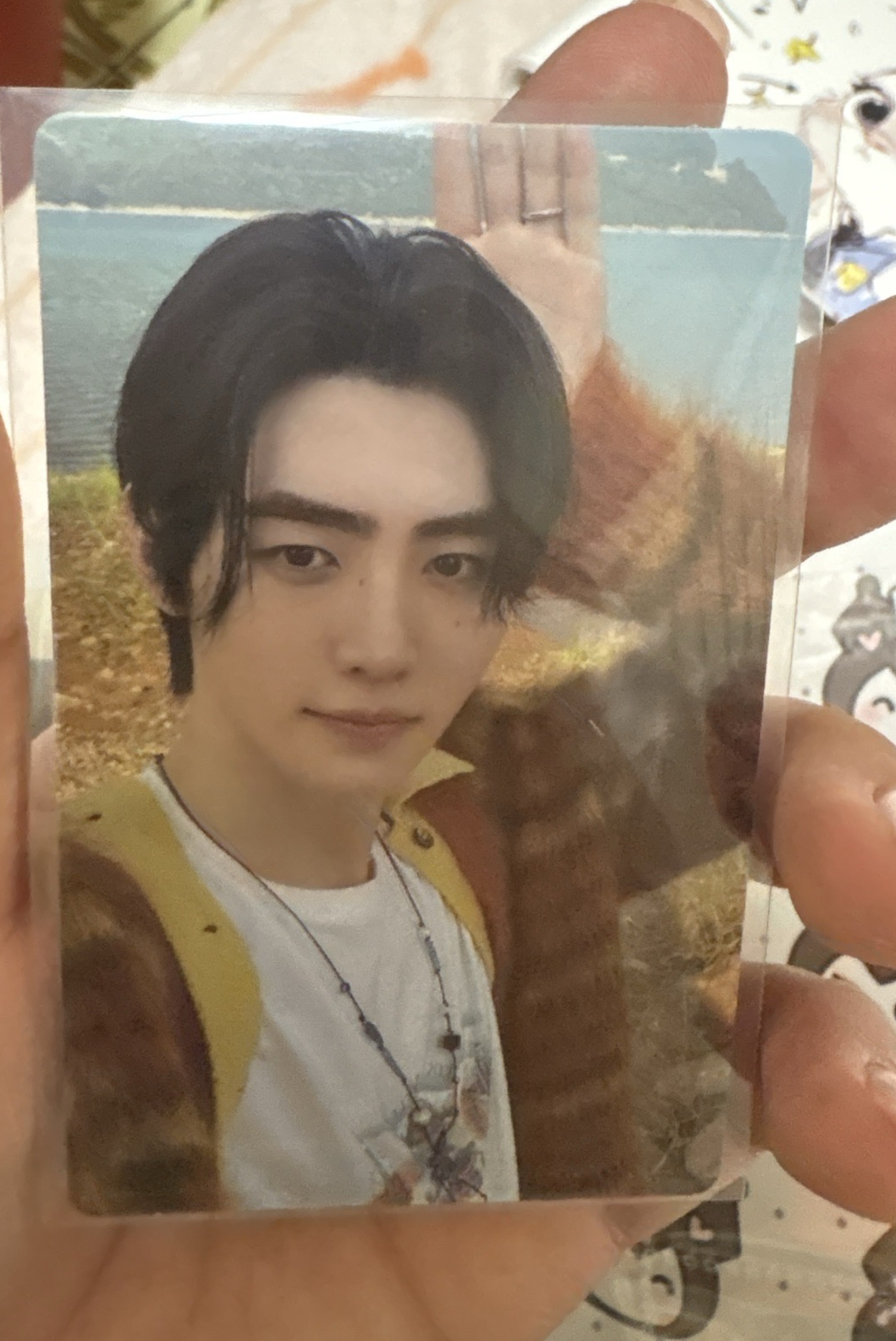 電子專固卡 兔耳朵訓