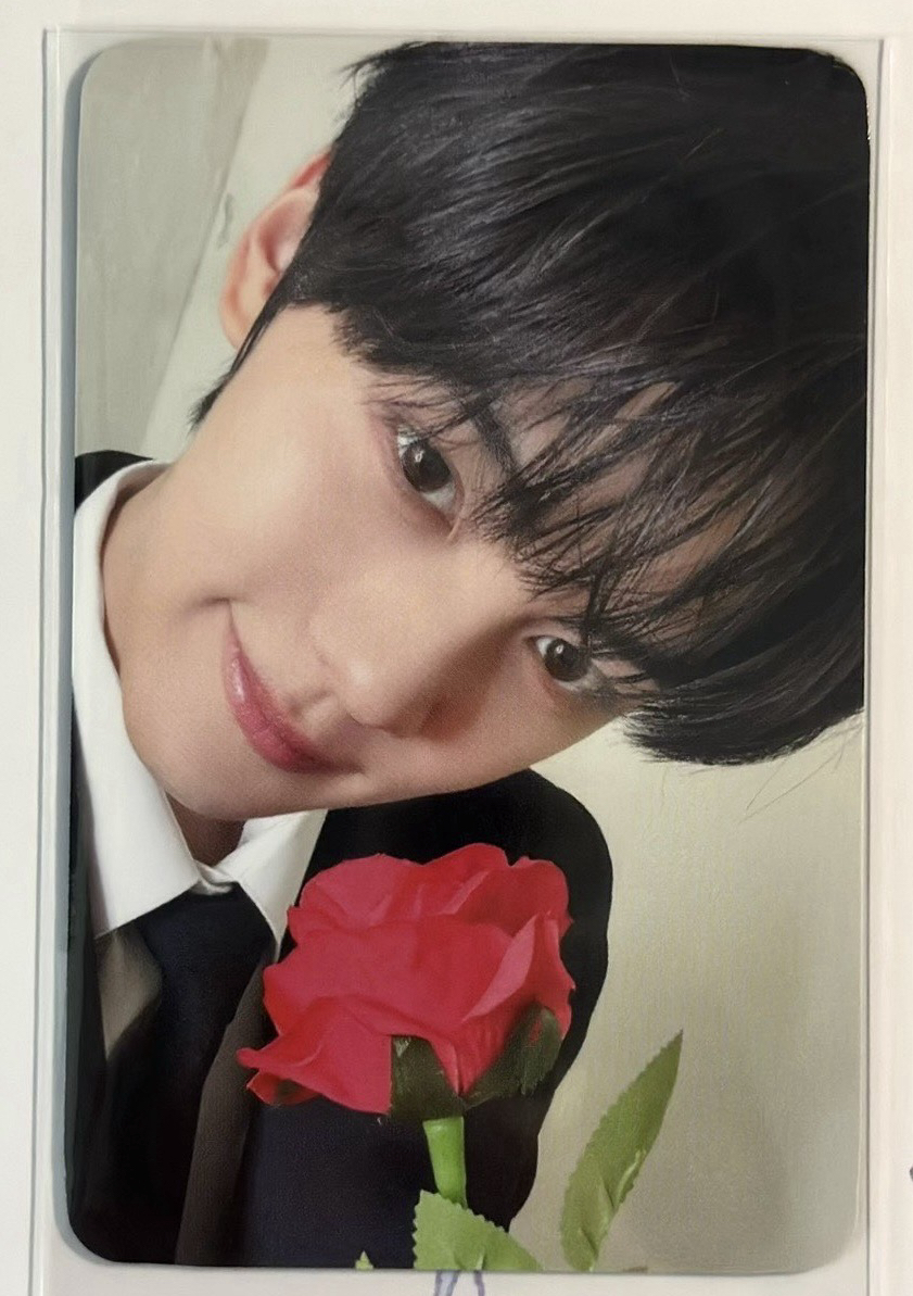 首爾安可D3粽卡奎