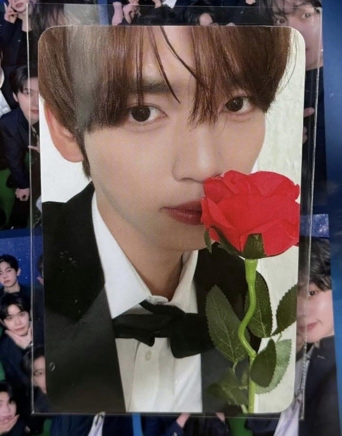 首爾安可D3粽卡辰