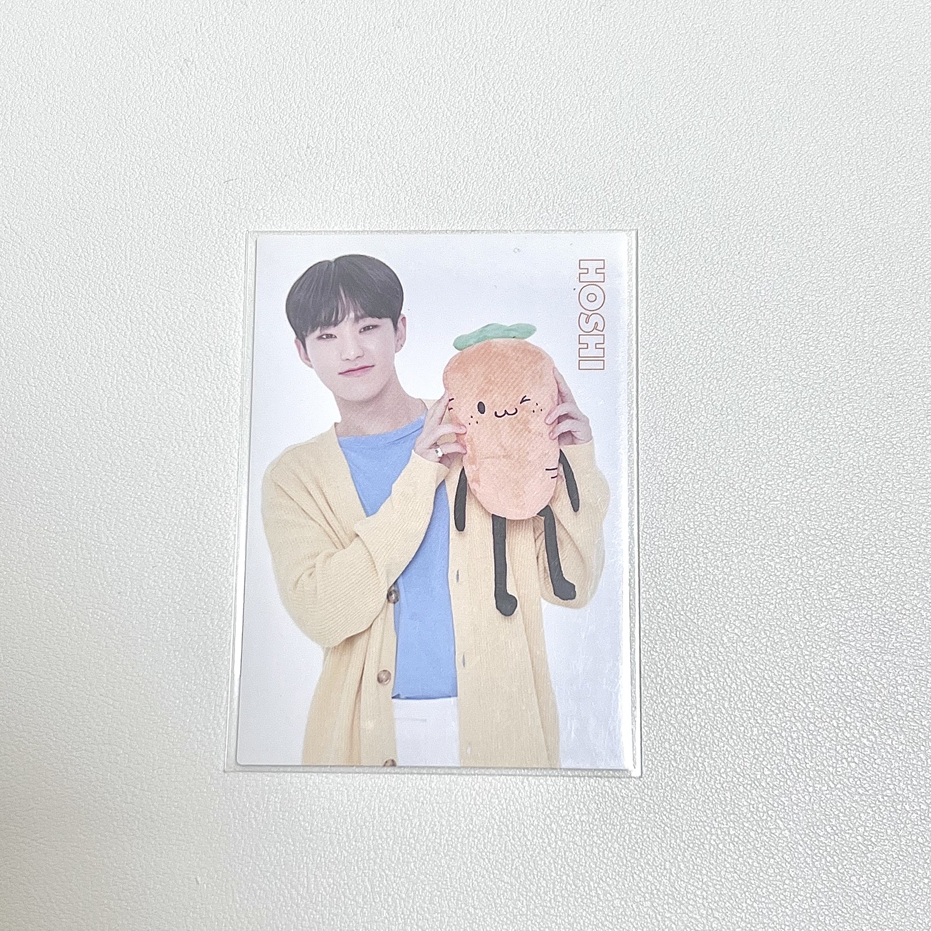 SVT HE蘿蔔榮🥕🐯