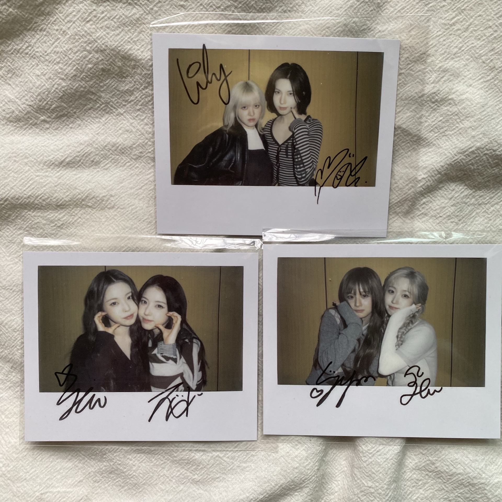 Ms台北雙人拍 隨機一張