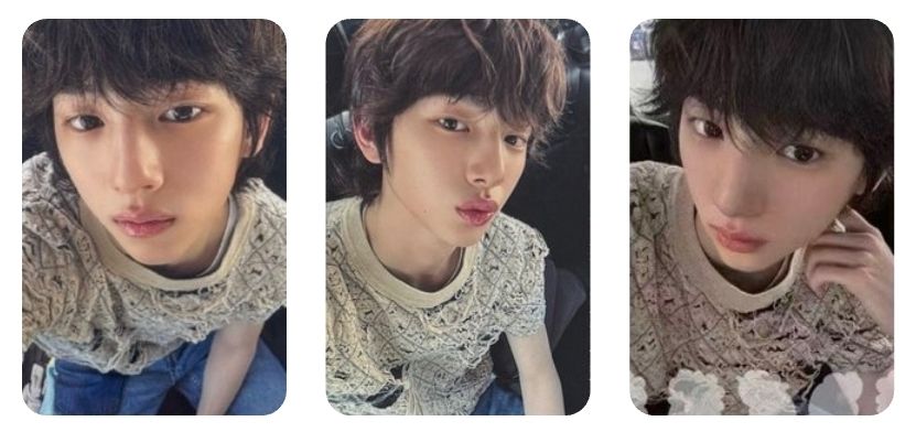 三張小豬一起出