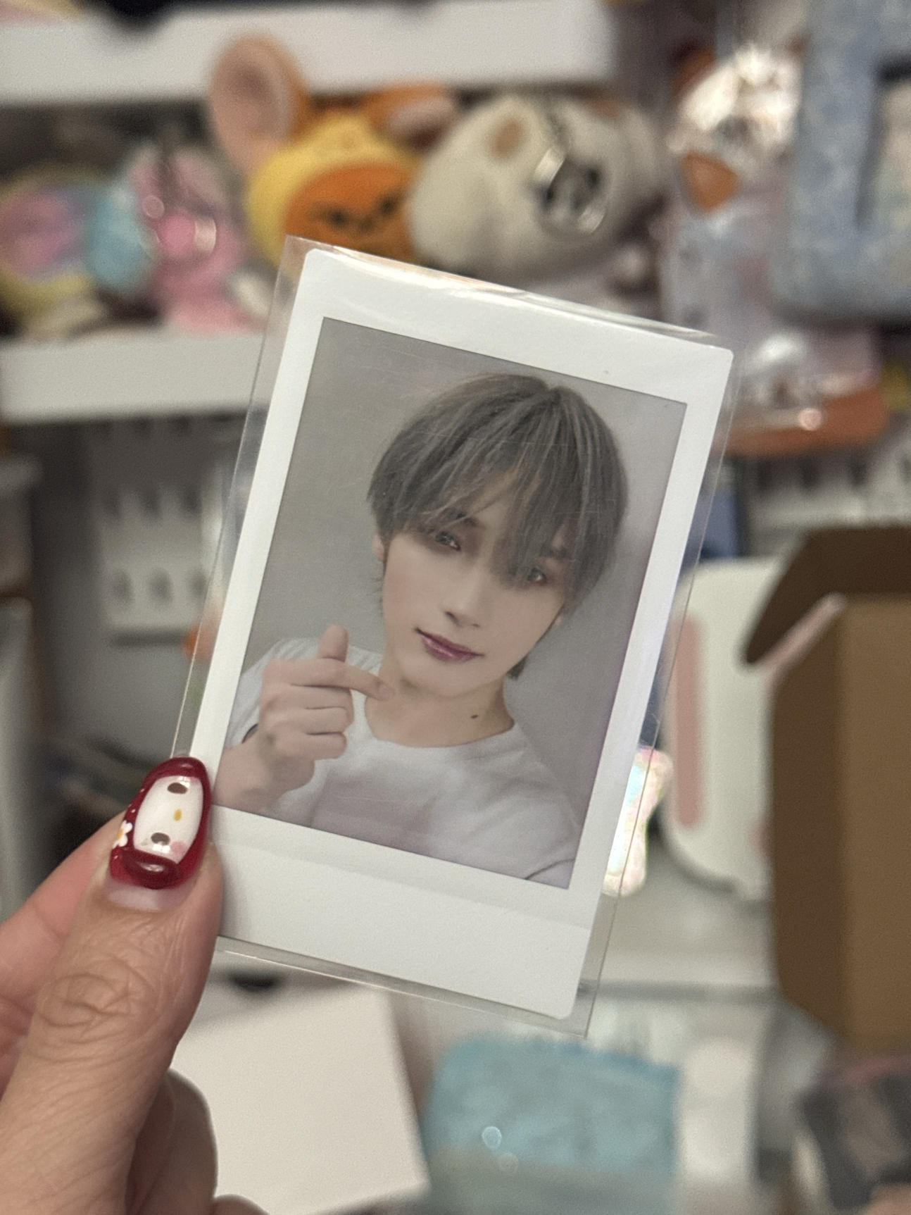 24’巡迴 日本安可 寧🐧 拍立得