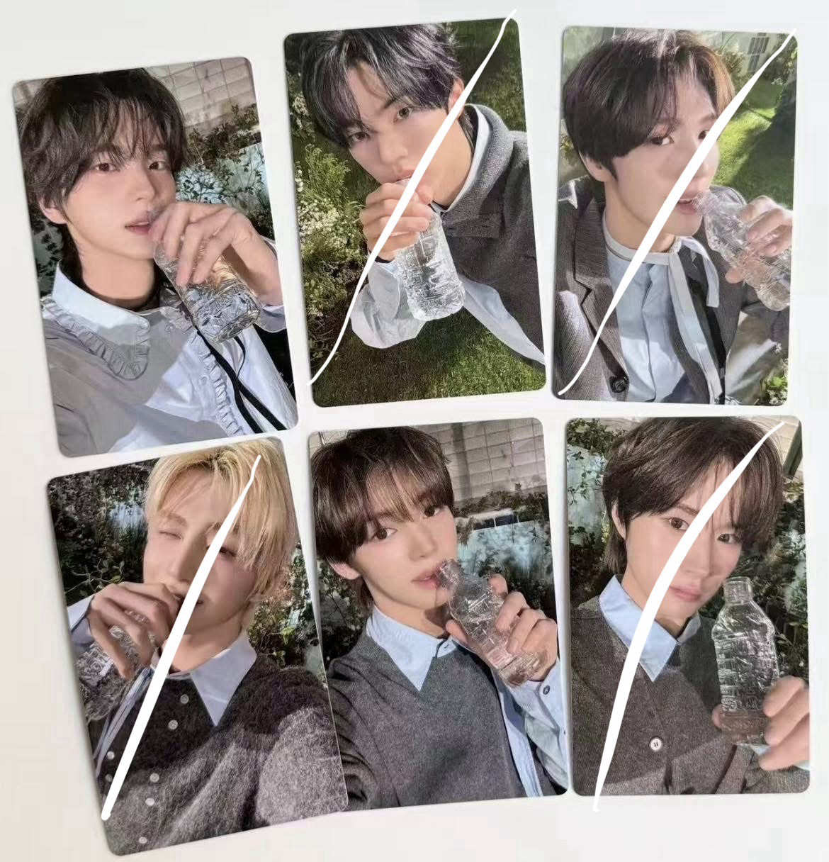 TWS 申惟 韓振 wvs 情人節簽售卡