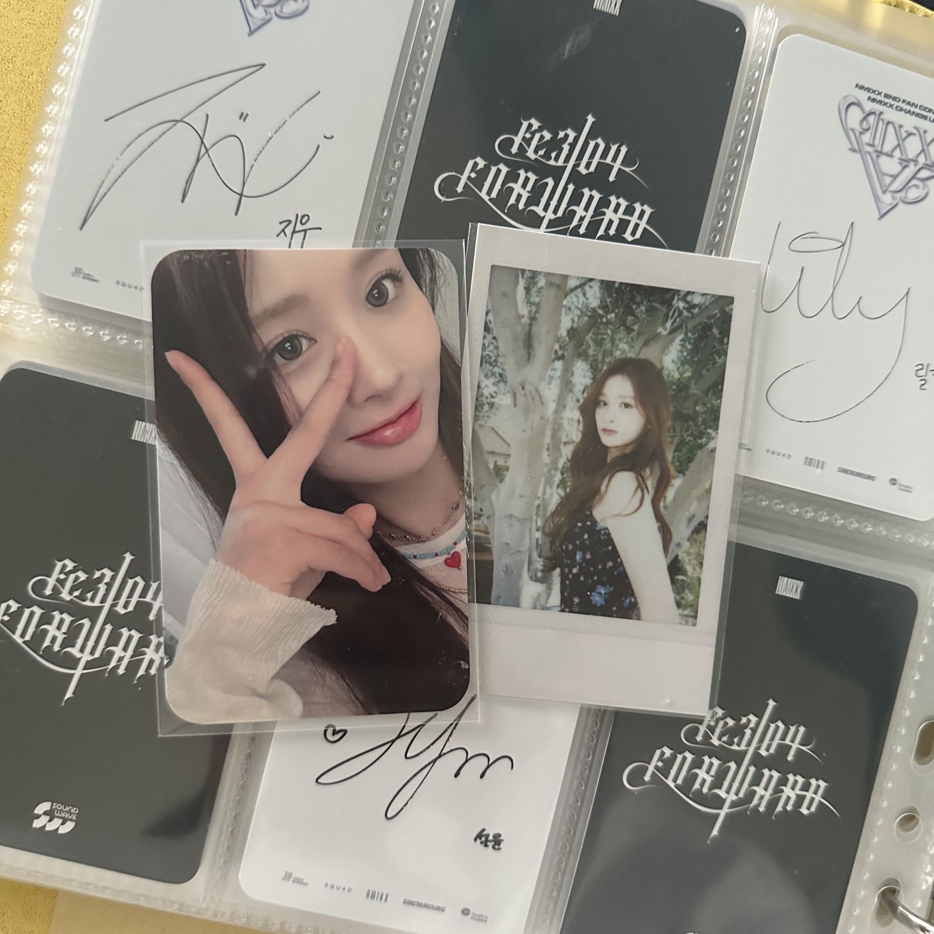 仲夏夜特典薛+LA薛拍