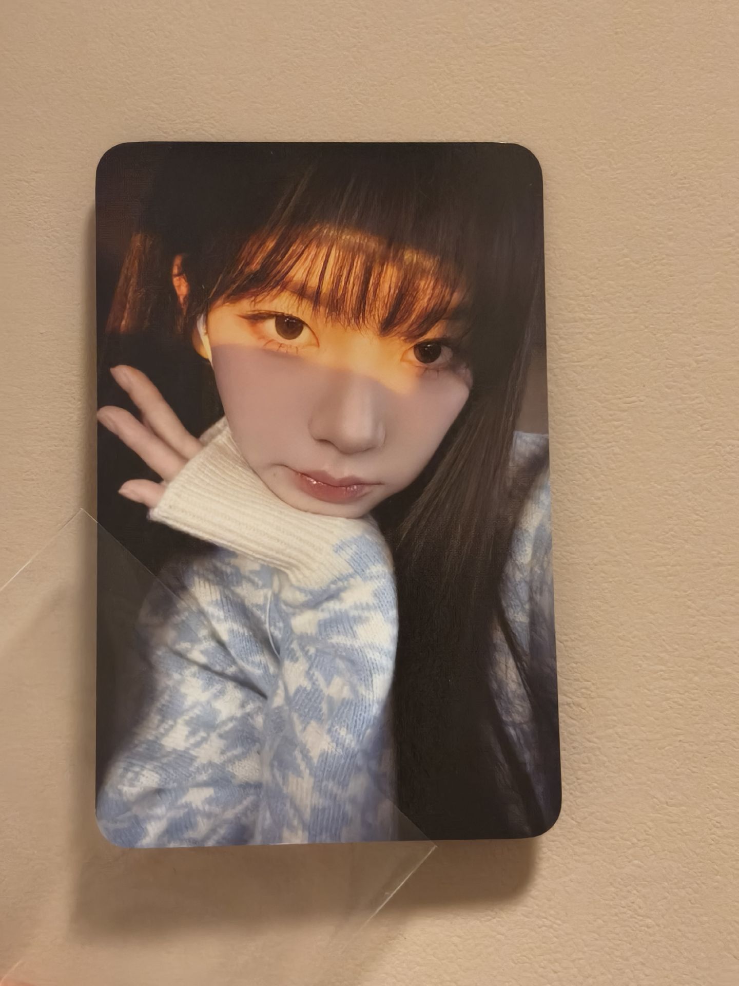 Drama wm 簽售卡 簽售柚 陽光柚