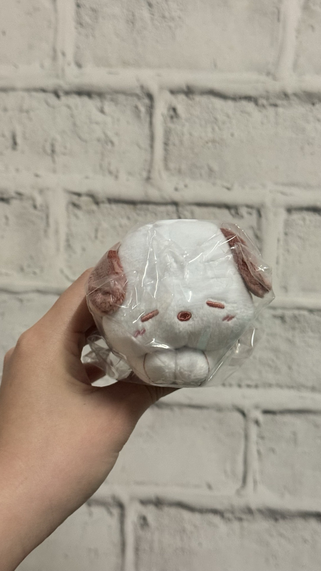 帕恰狗擁抱公仔