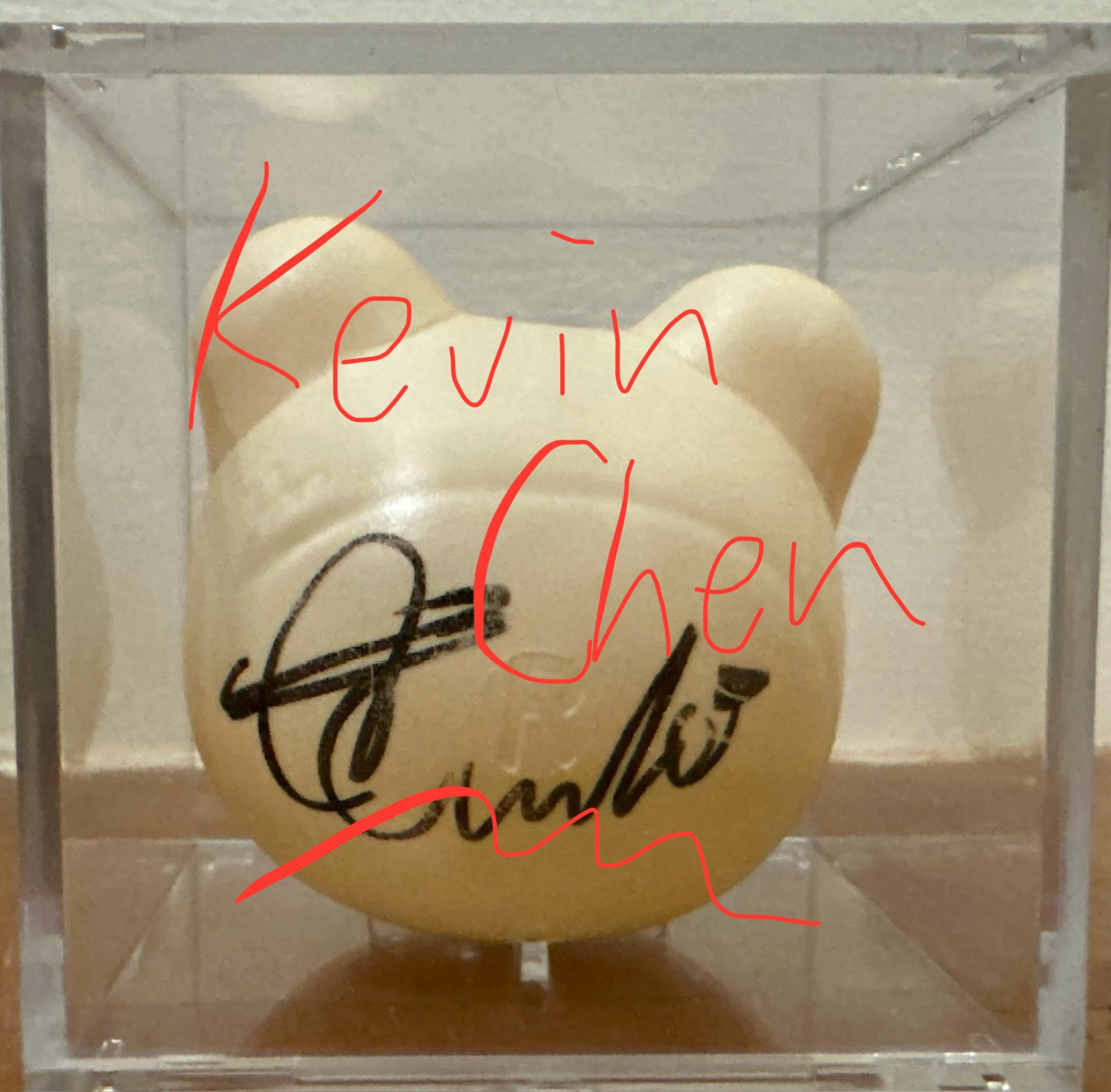 VIVIZ 2024年 臺北場 銀河親簽球