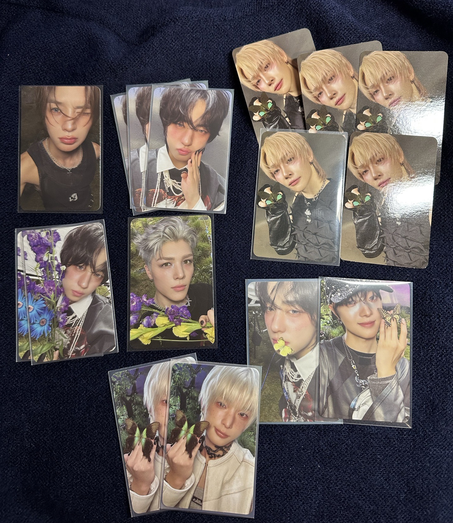 BTL 單封ROAR專卡