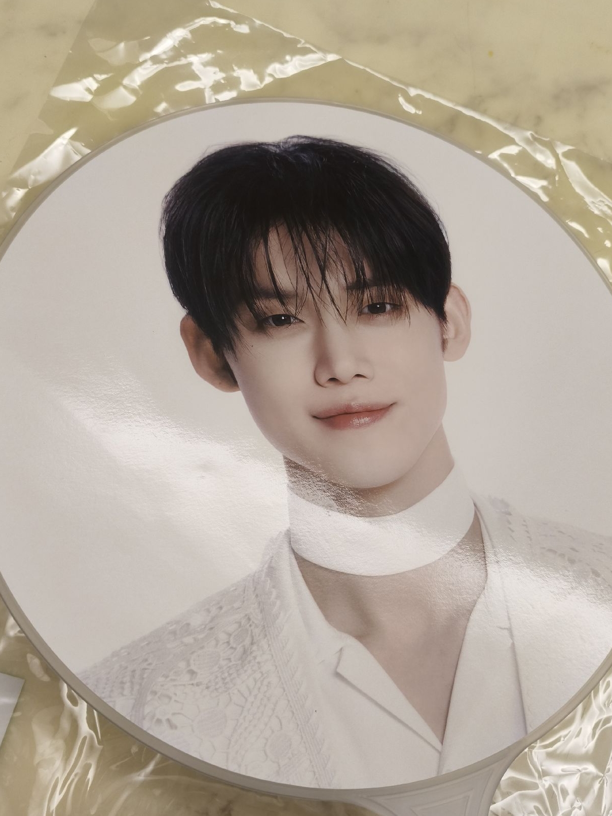 然竣 🕊️ 白衣王扇 含捆 