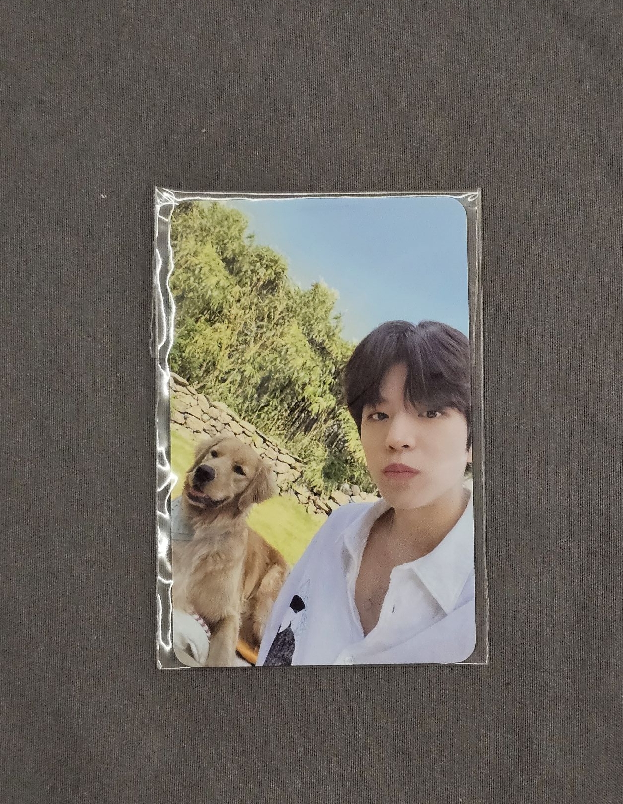 玟 城 彬 濟州島