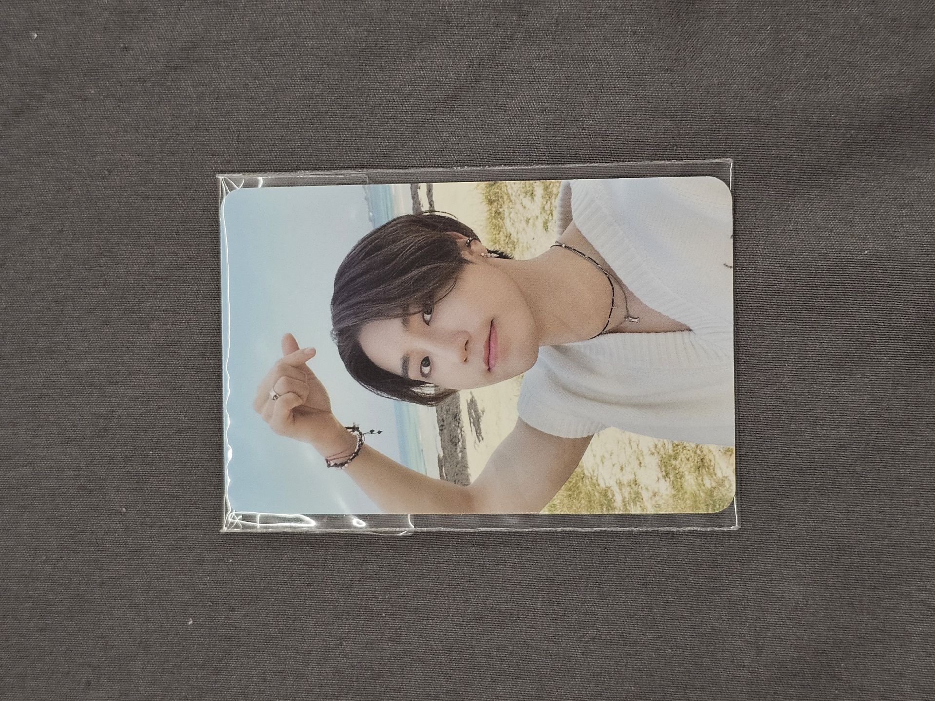 玟 城 彬 濟州島滿額卡