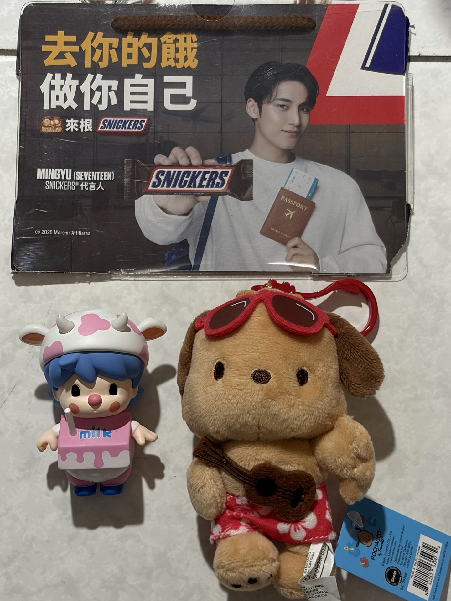 夏威夷曬黑帕恰狗（珉奎同款）