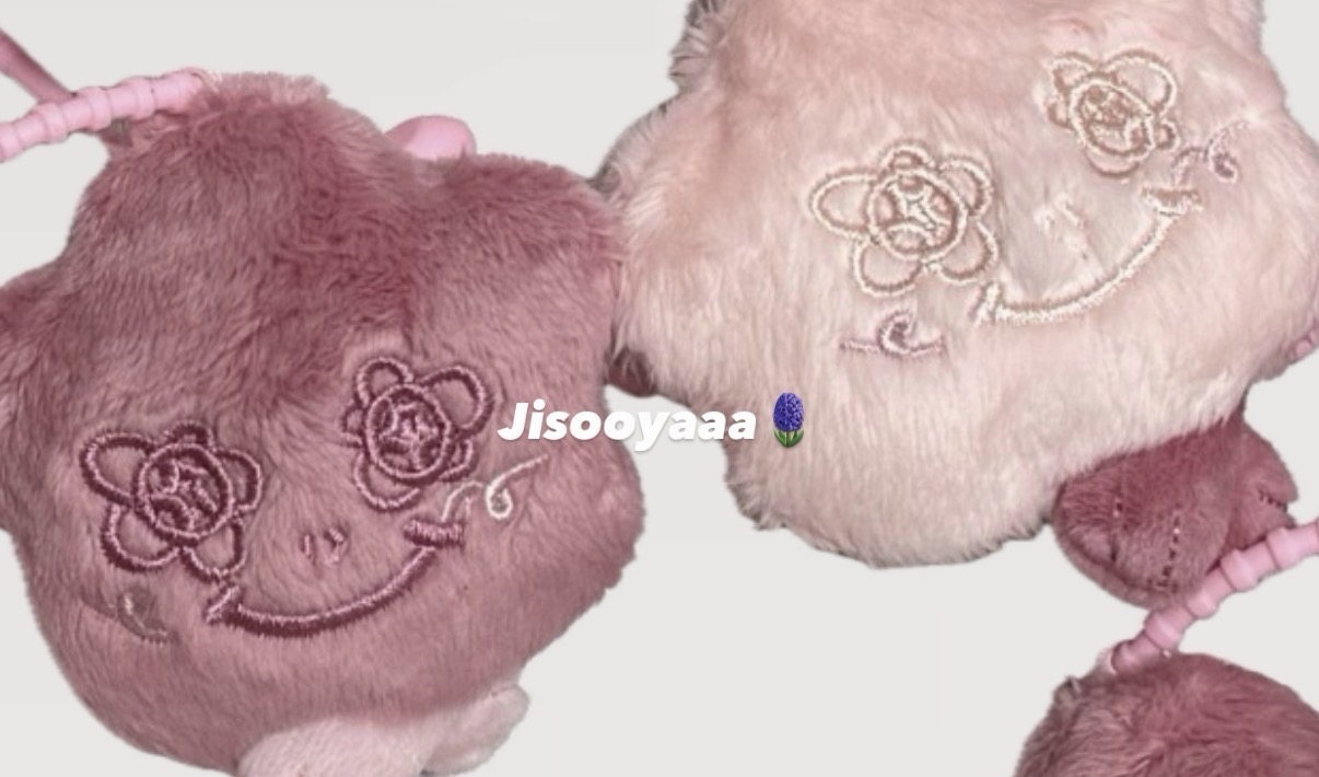 Jisoo x alo聯名小灰塵一對🩷