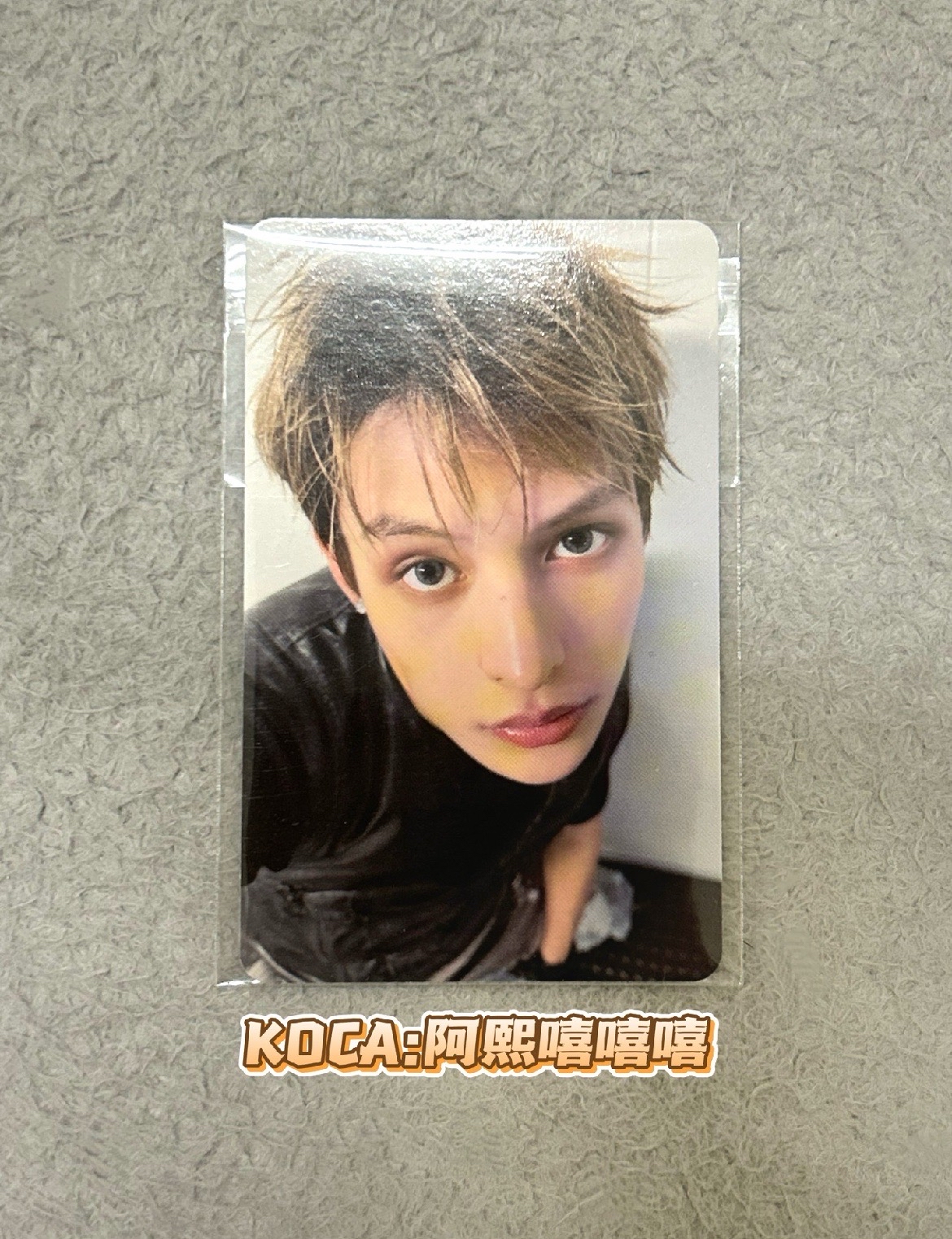 競標商品｜Cortis ma年末凡