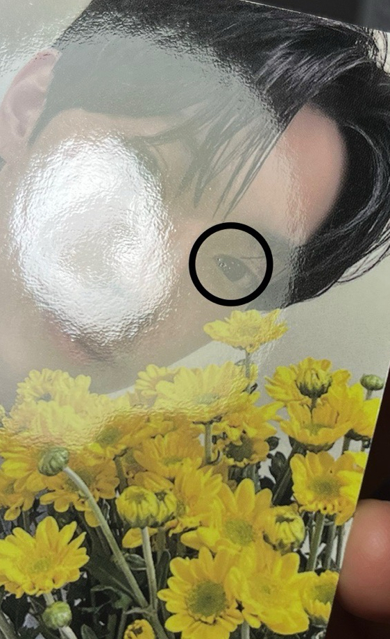 崔立于 展會卡共16張