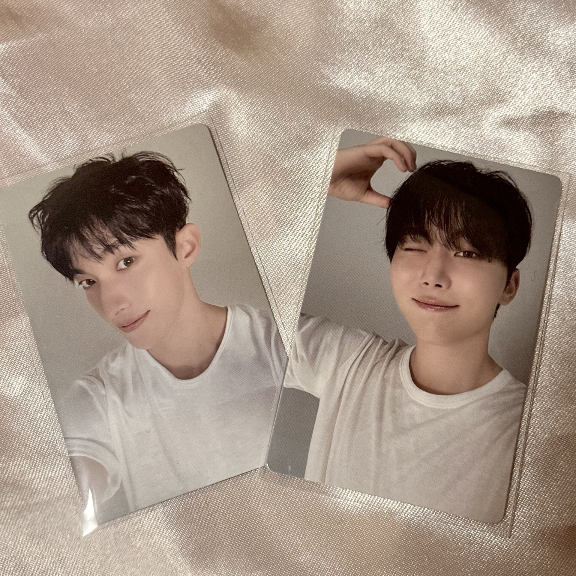 🤍DxS 小夜曲 Compact ver. 專卡