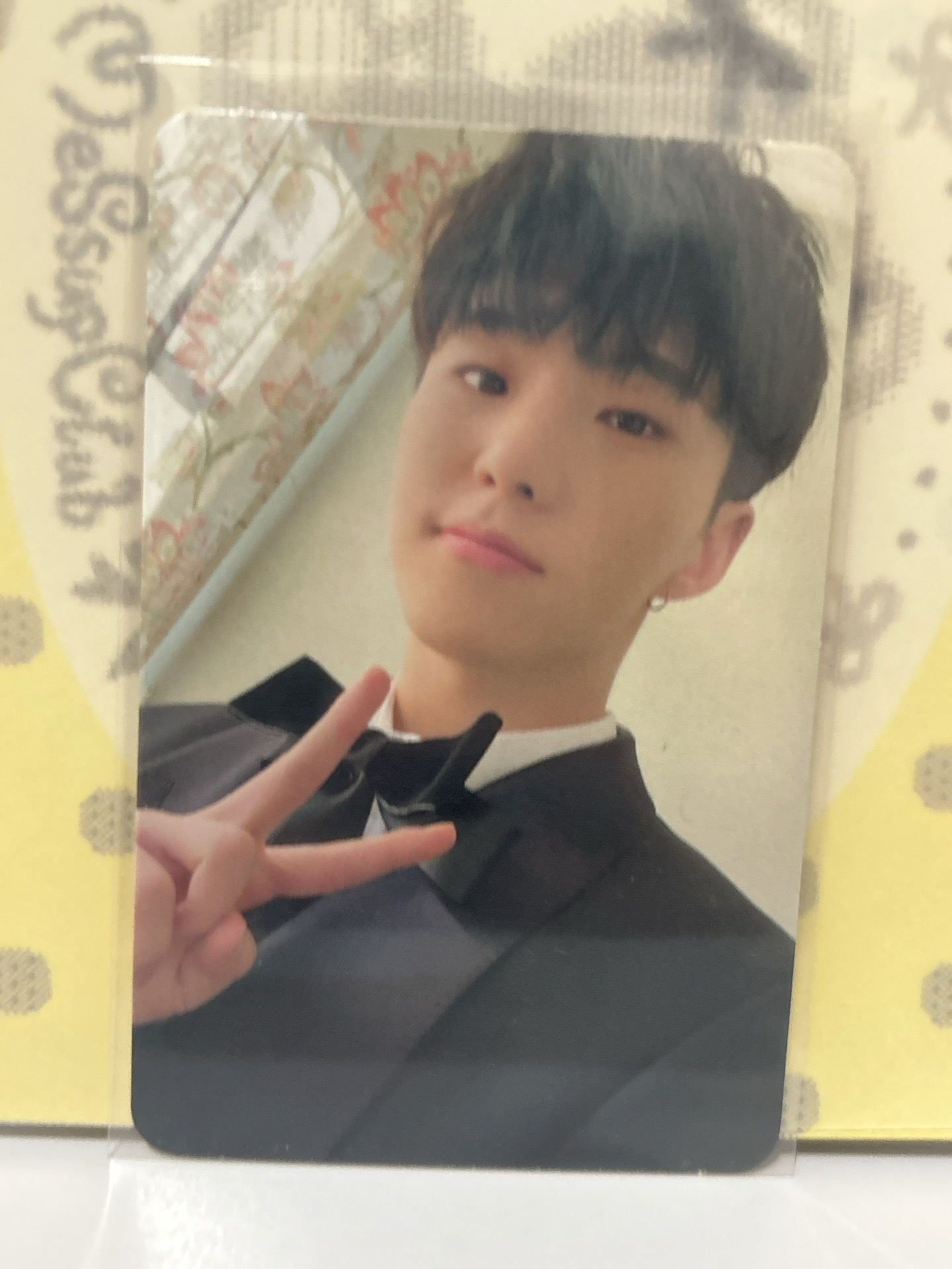 hoshi mini10克拉盤