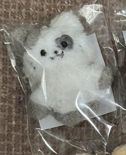 itzy 黃禮志坐姿娃+潦草娃+毛絨卡套+坐姿黑娃