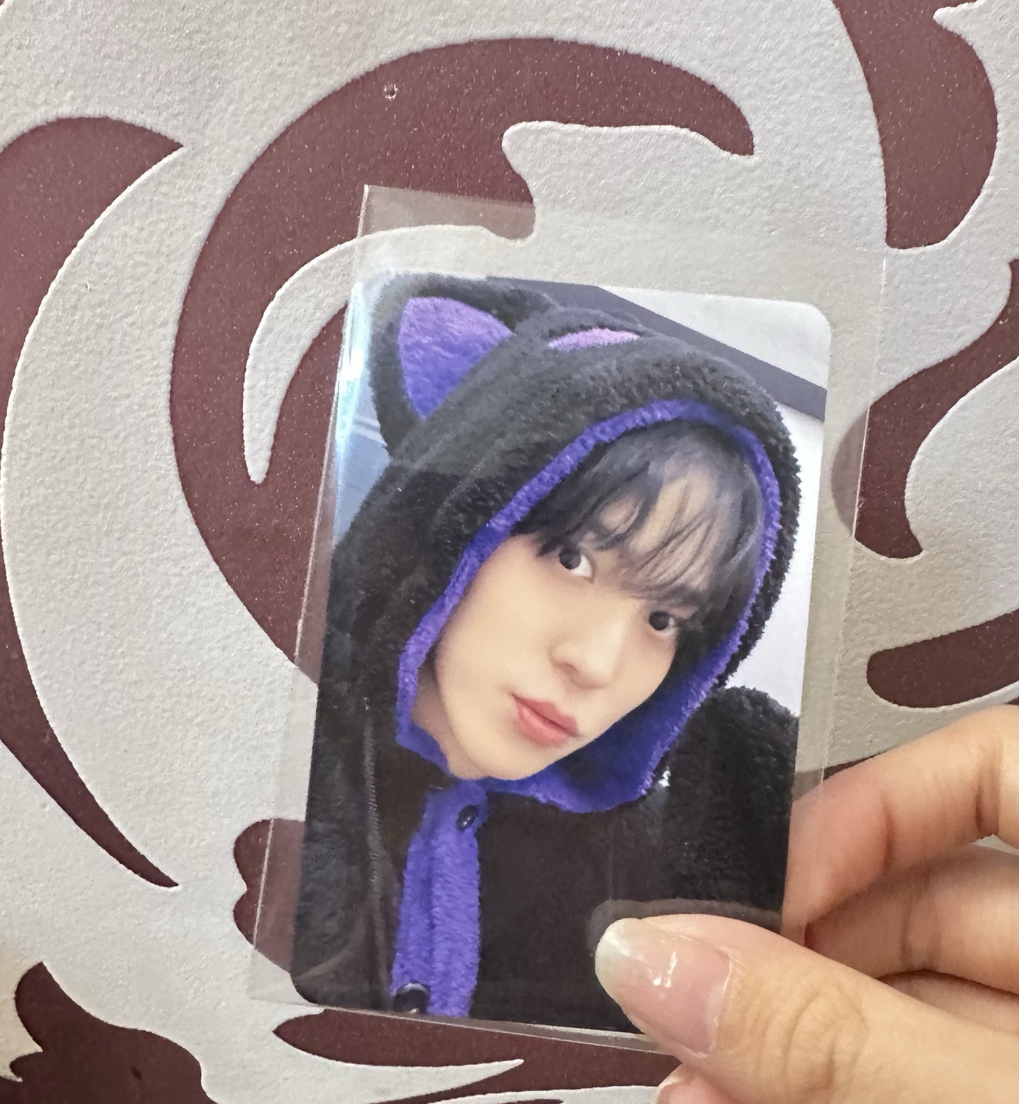 MS 簽售 潤浩 （現貨）