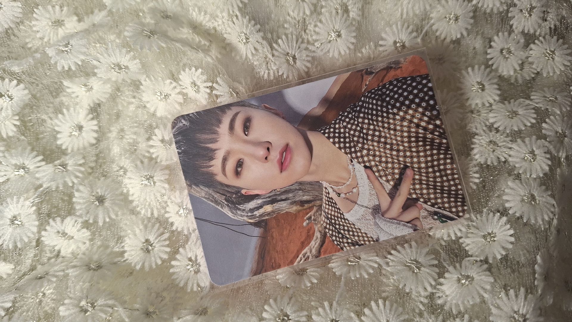 🍊榮 正四 專輯卡 Ep3 ver.