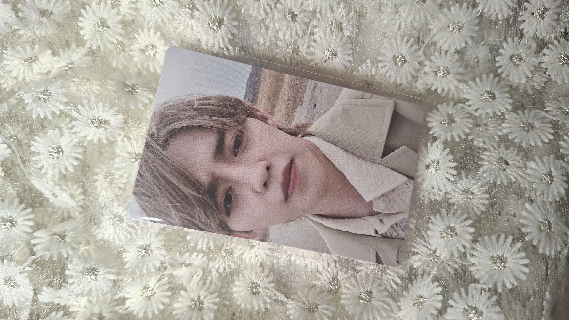 哲 正四 專輯卡 wvs電子專