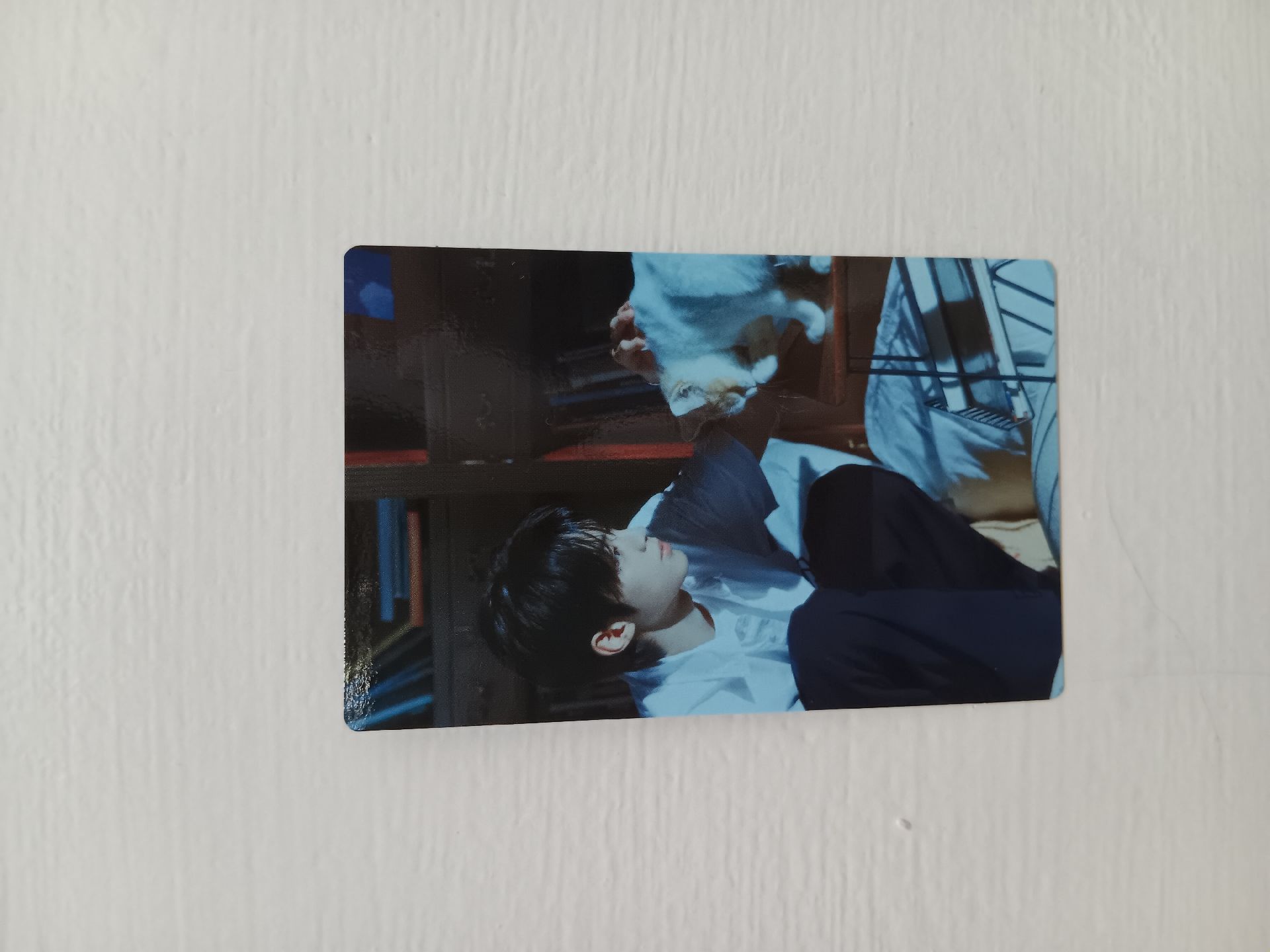 tws 道勳日專專卡