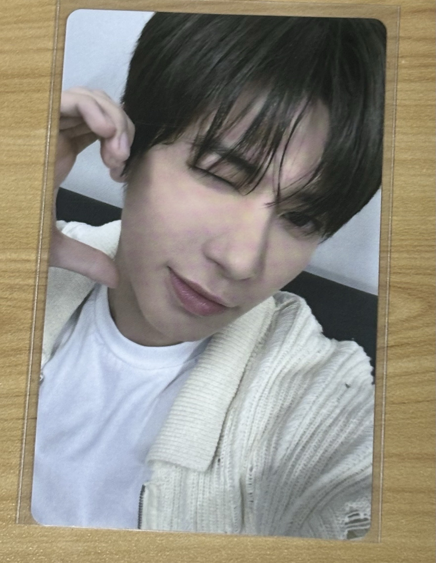 日咖特典卡（送蝴蝶紙花1張）