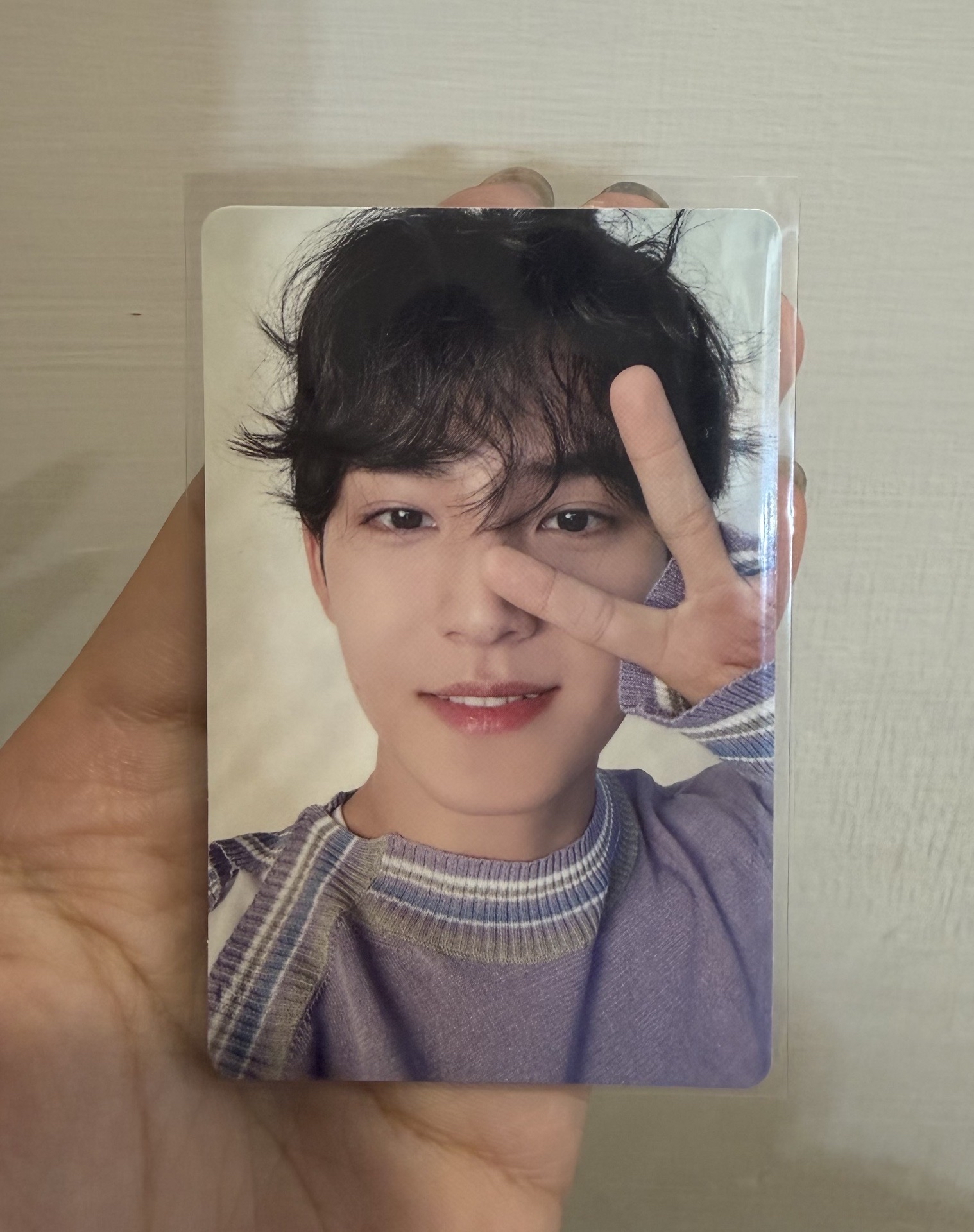 always yours 紫衣奎